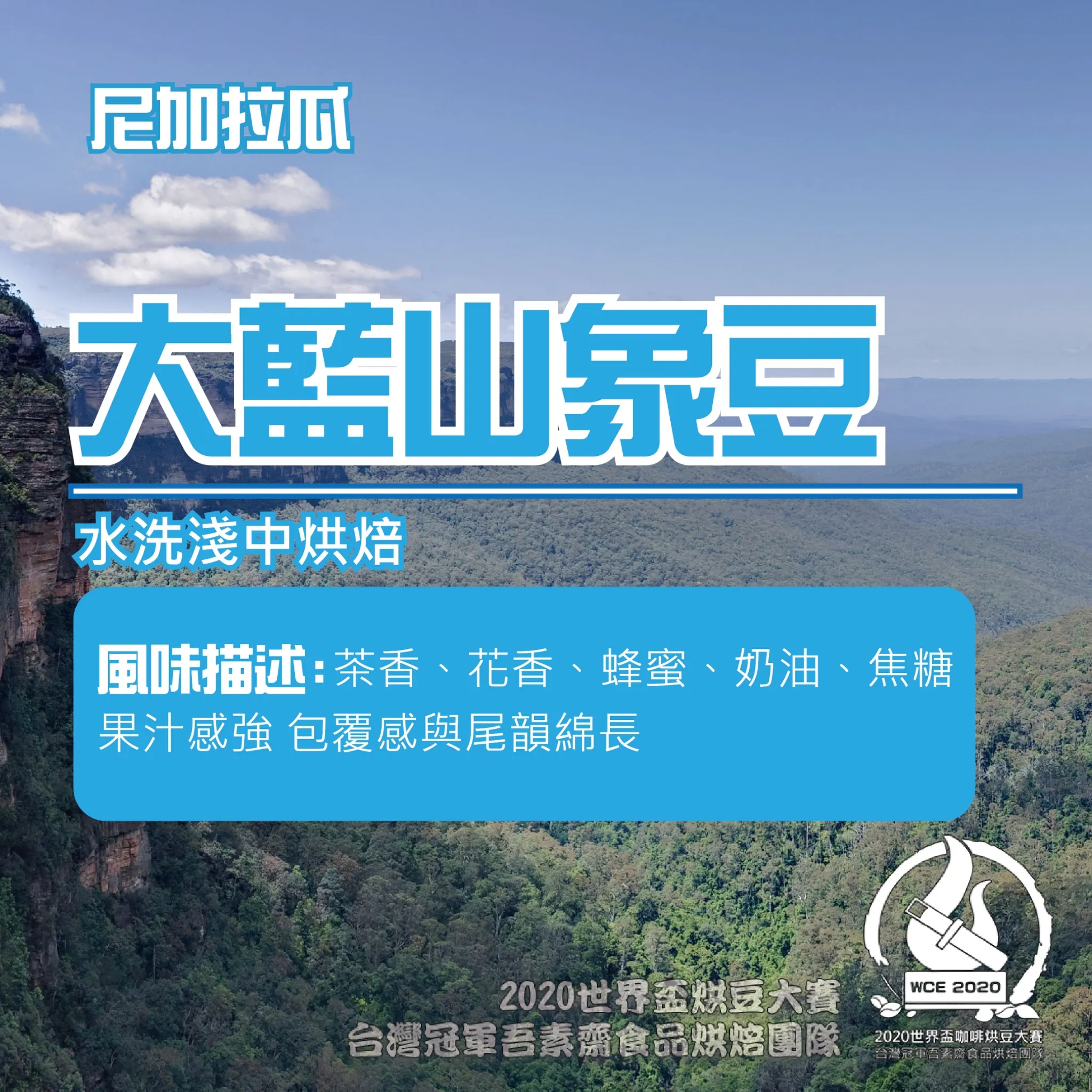 大藍山象豆水洗半磅