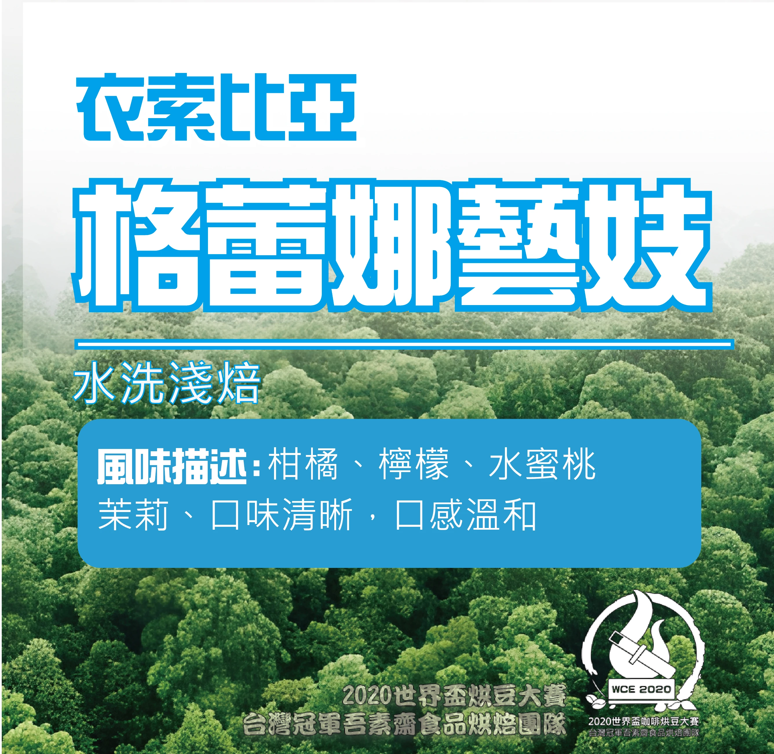 衣索比亞格蕾那水洗藝妓