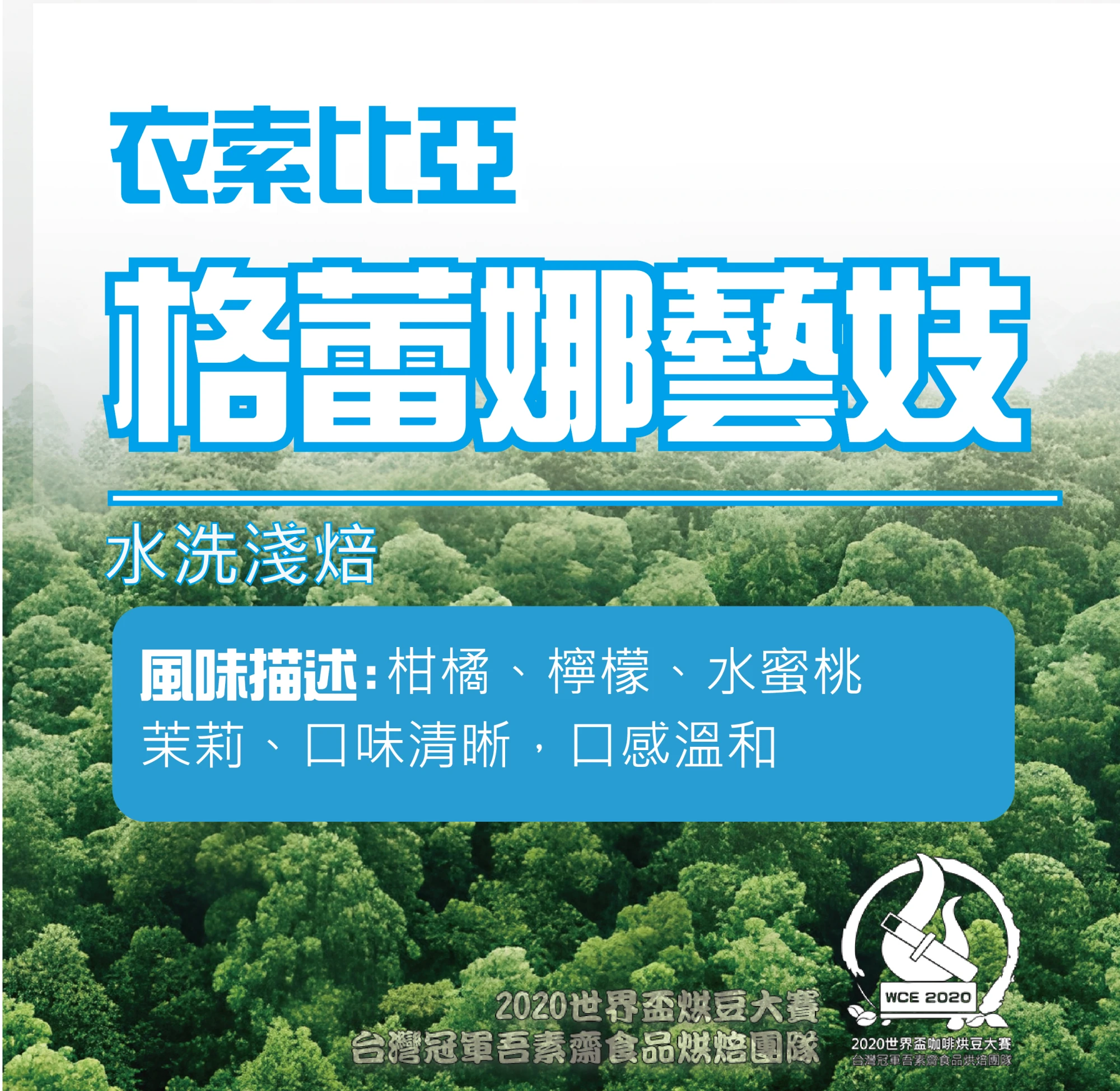 衣索比亞格蕾那水洗藝妓