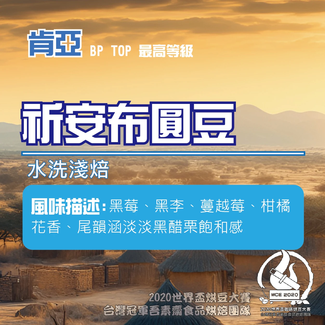 肯亞 祈安布圓豆 BP TOP
