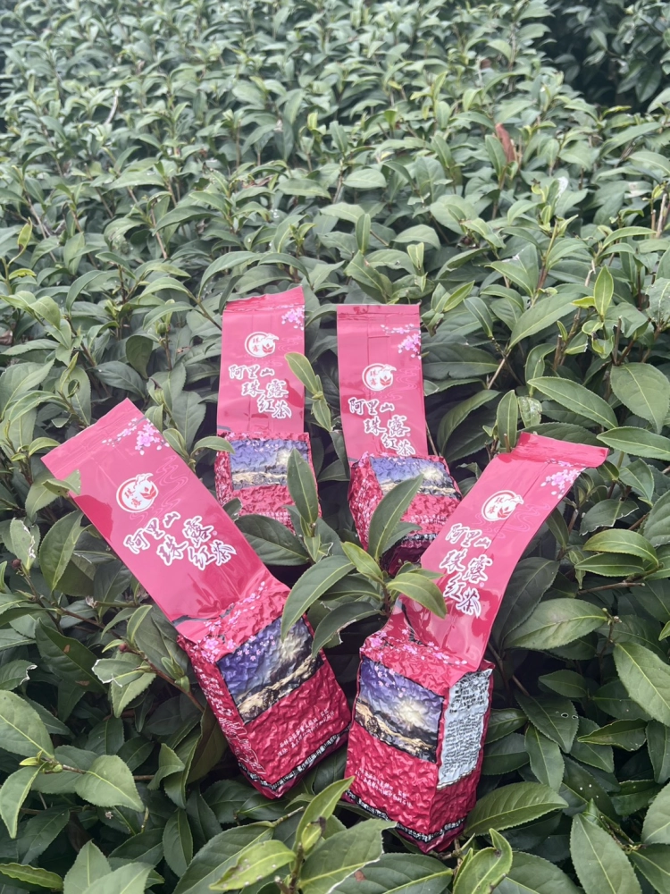 阿里山 珠露茶 紅茶 一斤 (600克) 四包