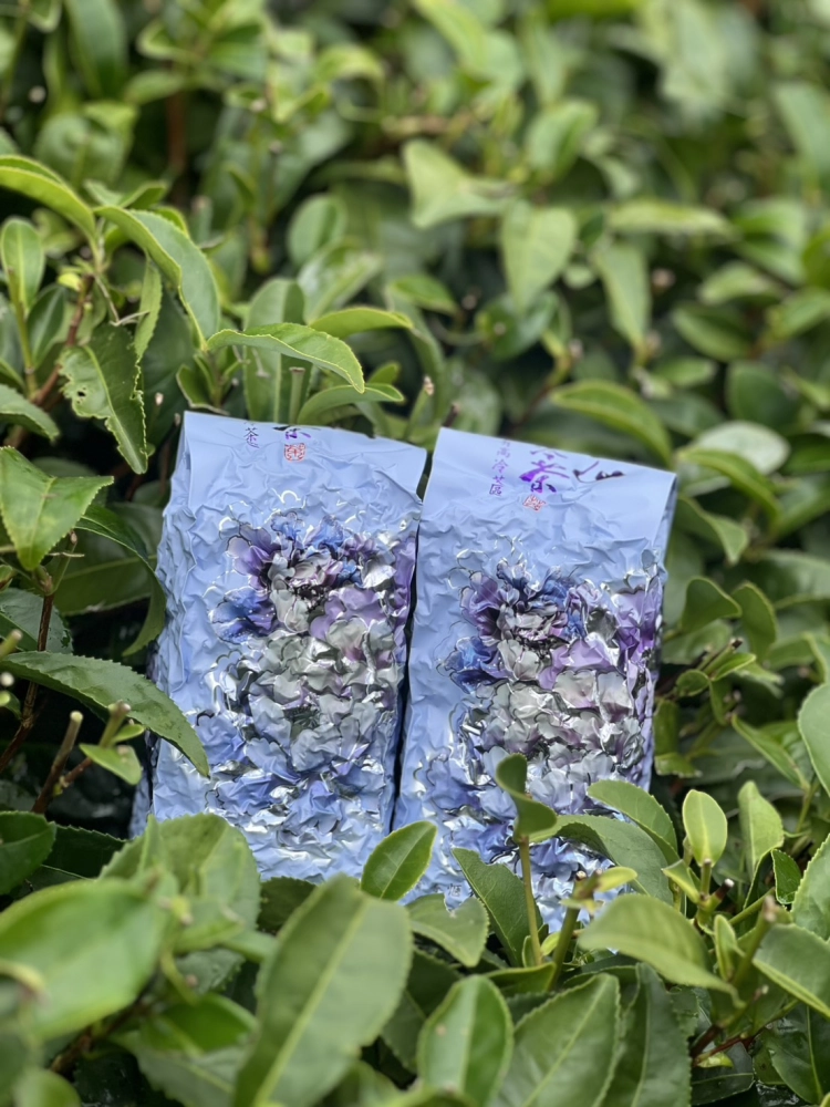 阿里山 珠露茶 冬茶金萱 一斤 (600克) 四包