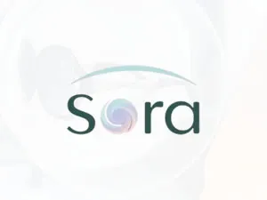Sora Glasses