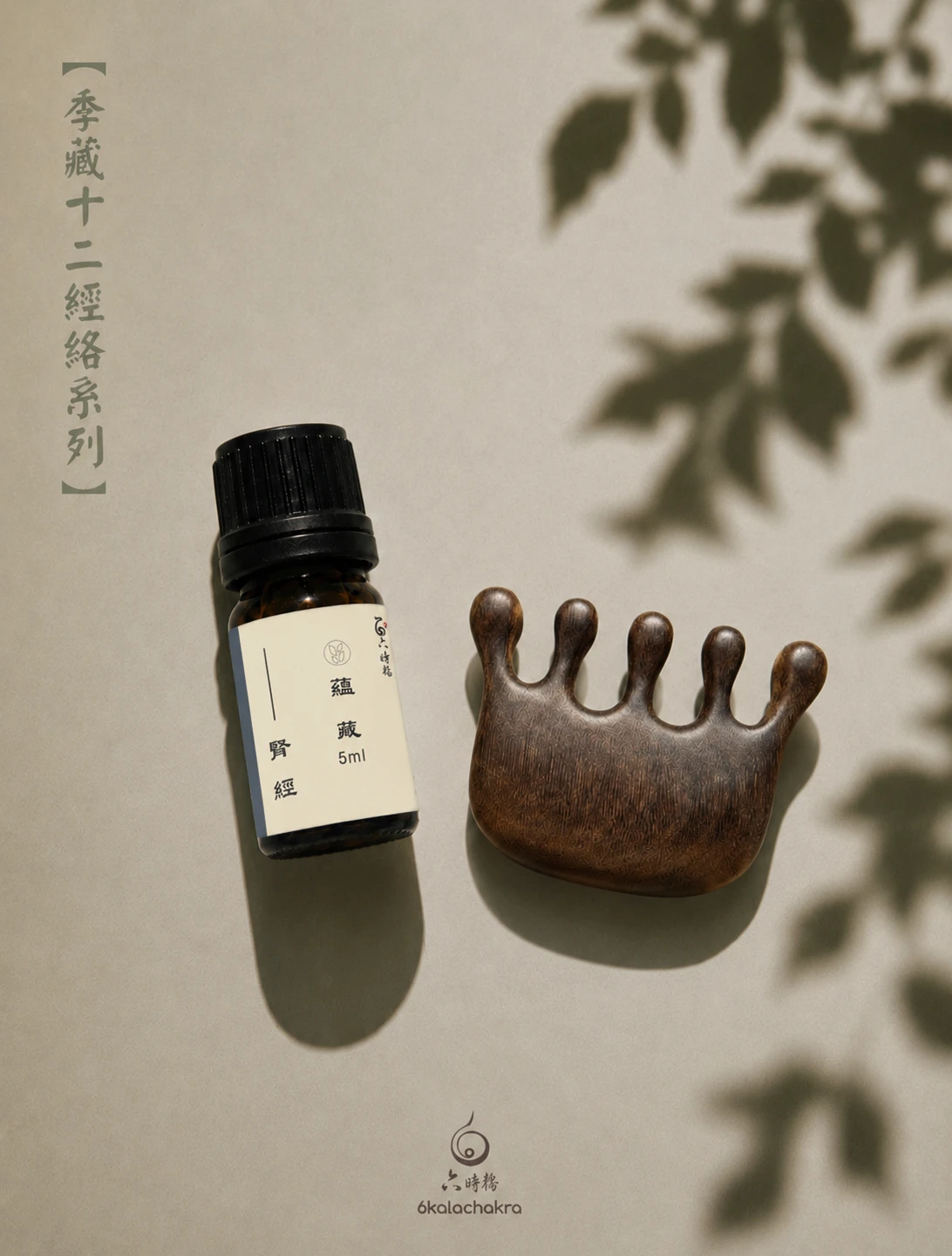 足少陰-腎經絡