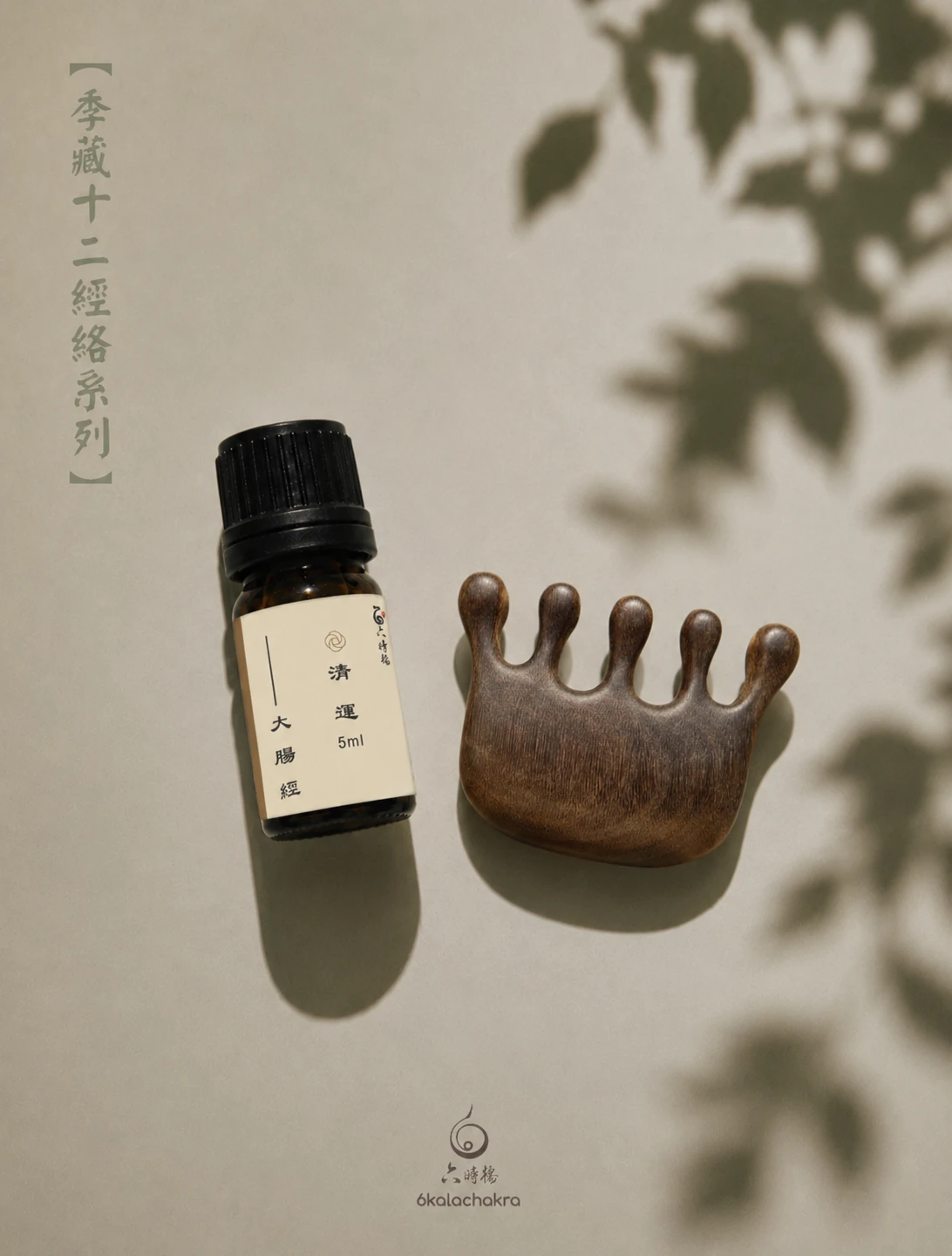 手陽明-大腸經絡