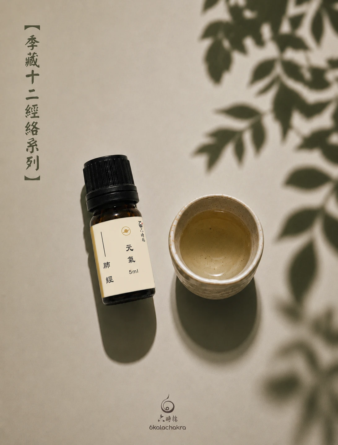 手太陰-肺經絡