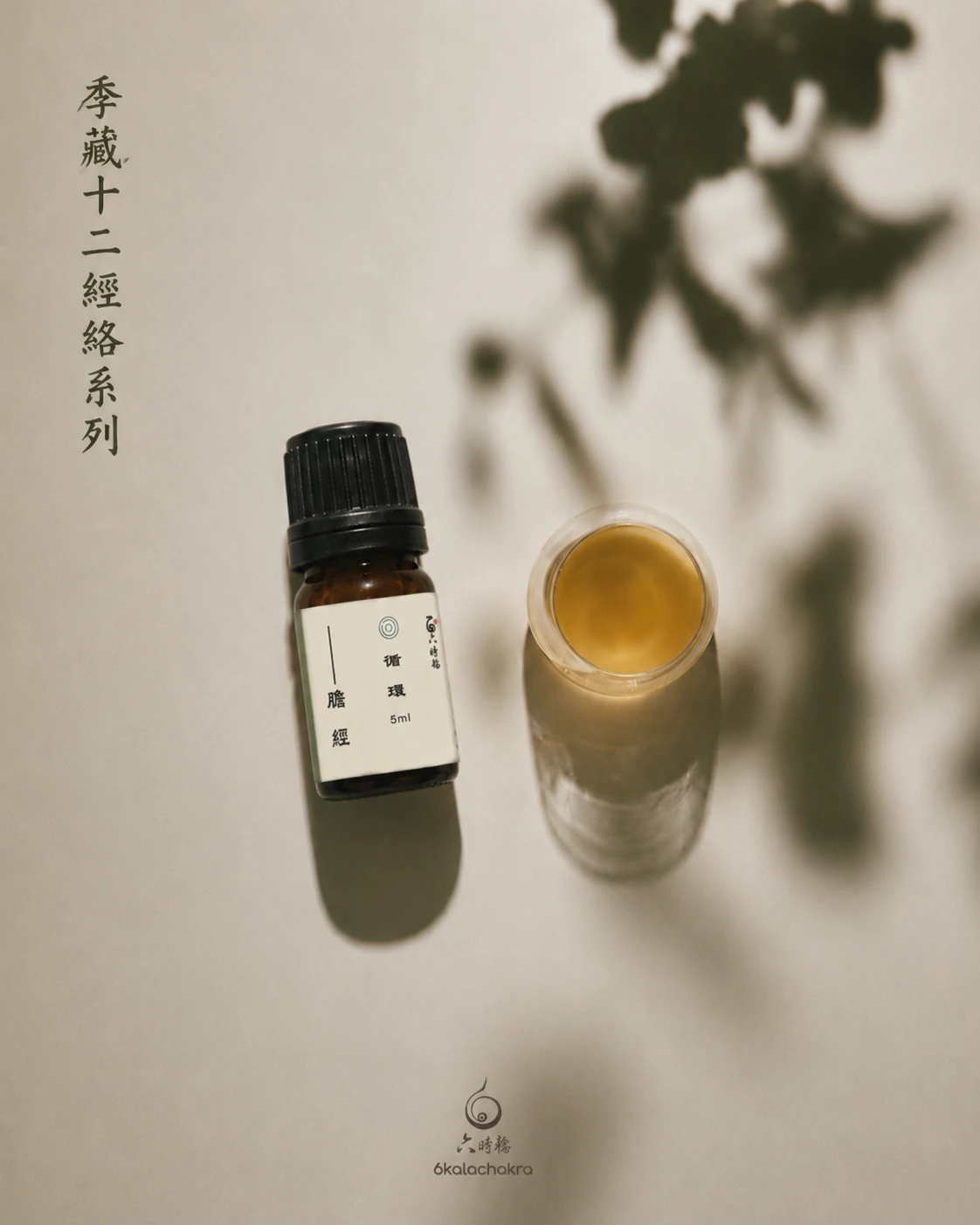 足少陽-膽經絡