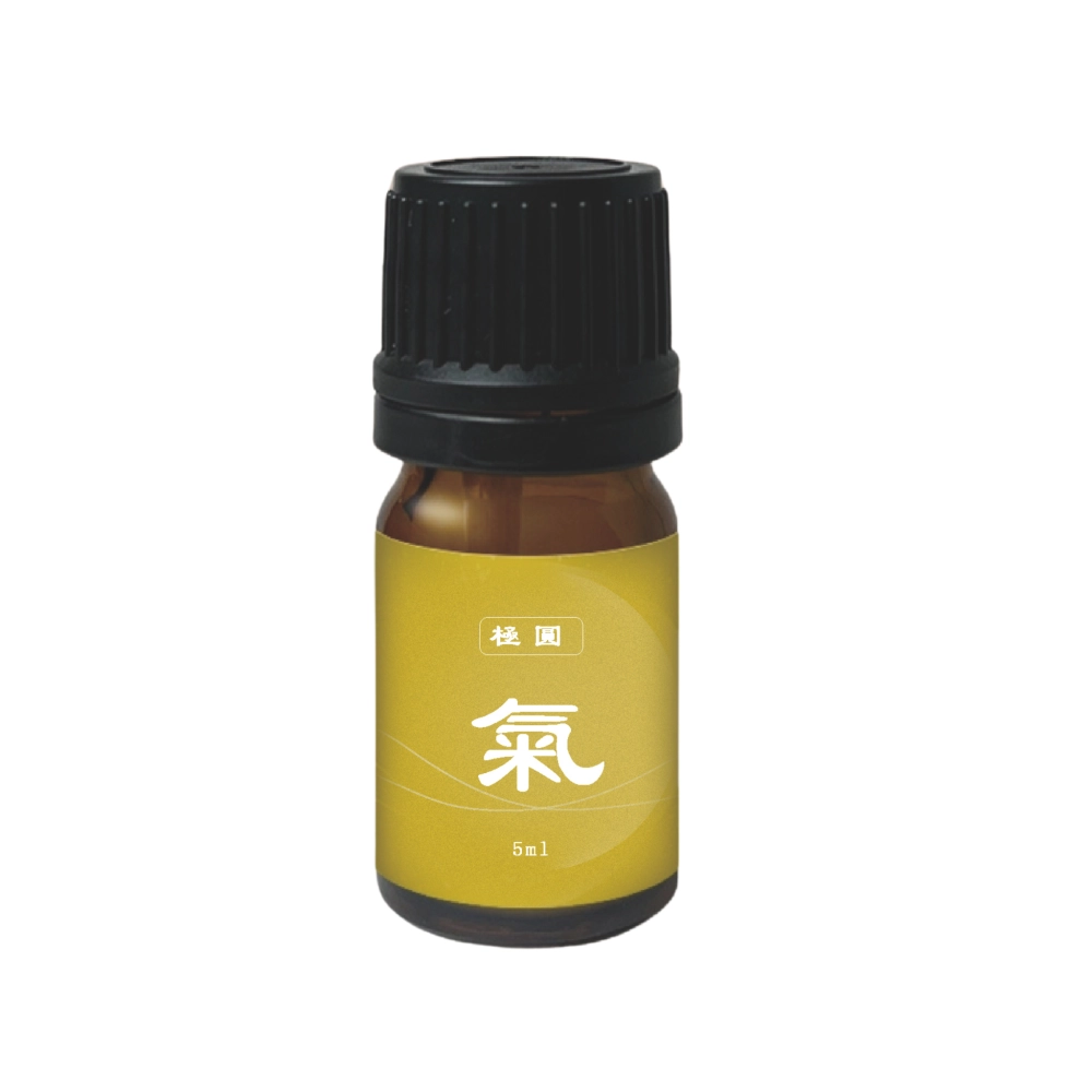 極圓系列-氣 流轉
