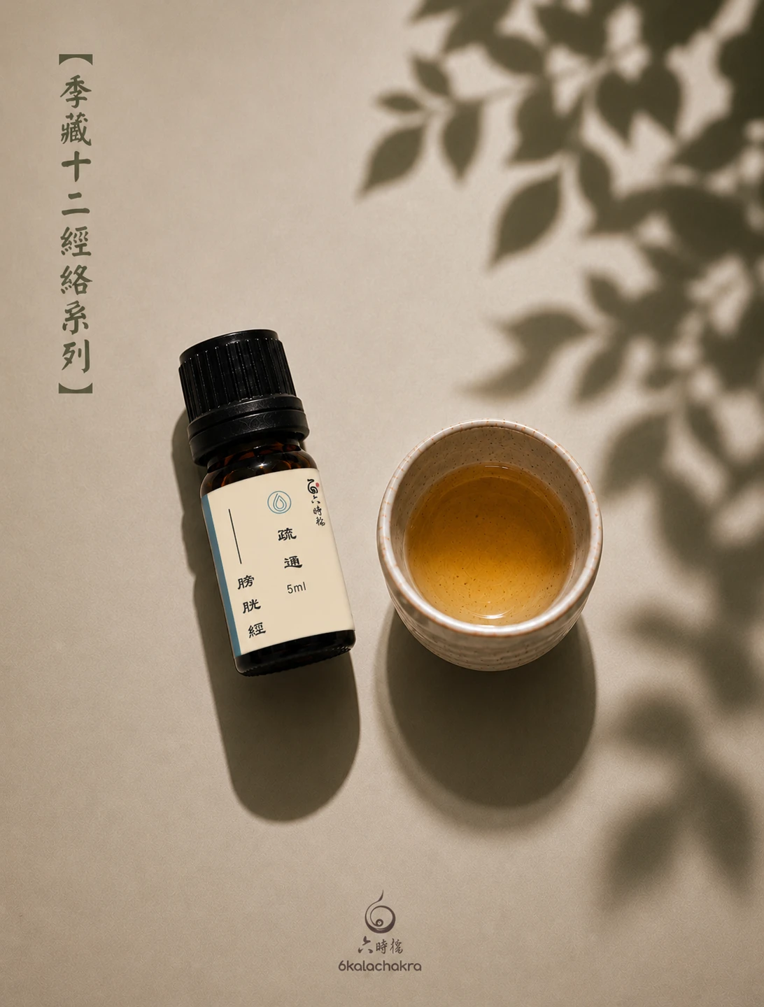 足太陽-膀胱經絡