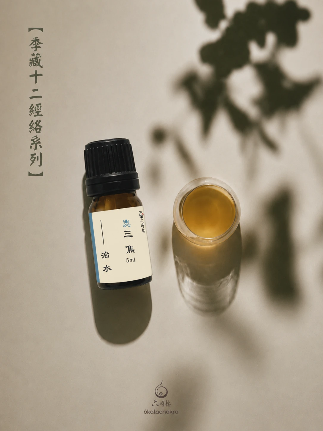 手少陽-三焦經絡
