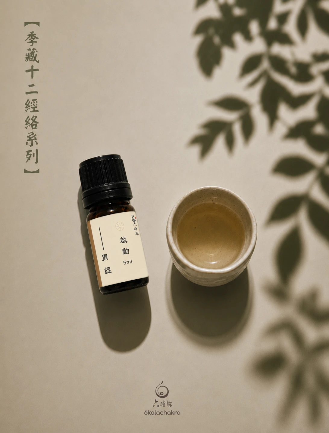 足陽明-胃經絡