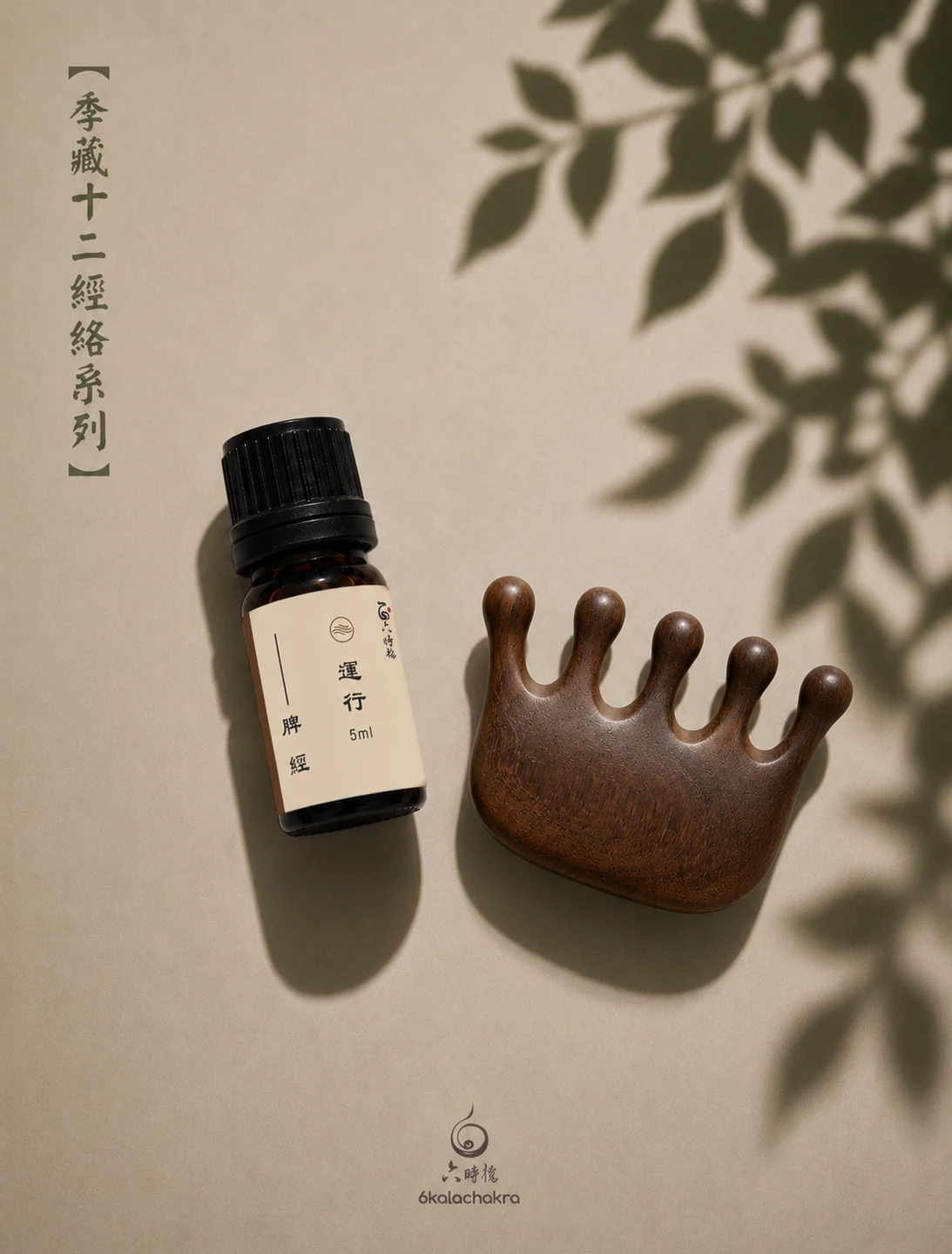 足太陰-脾經絡