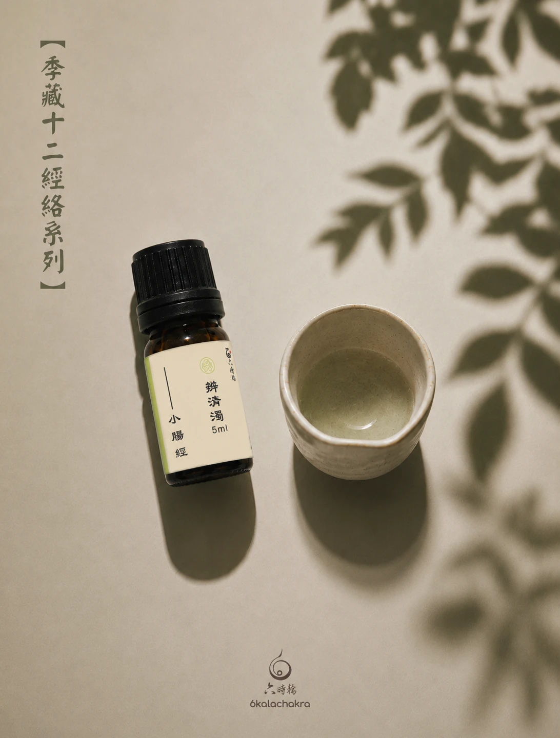 手太陽-小腸經絡