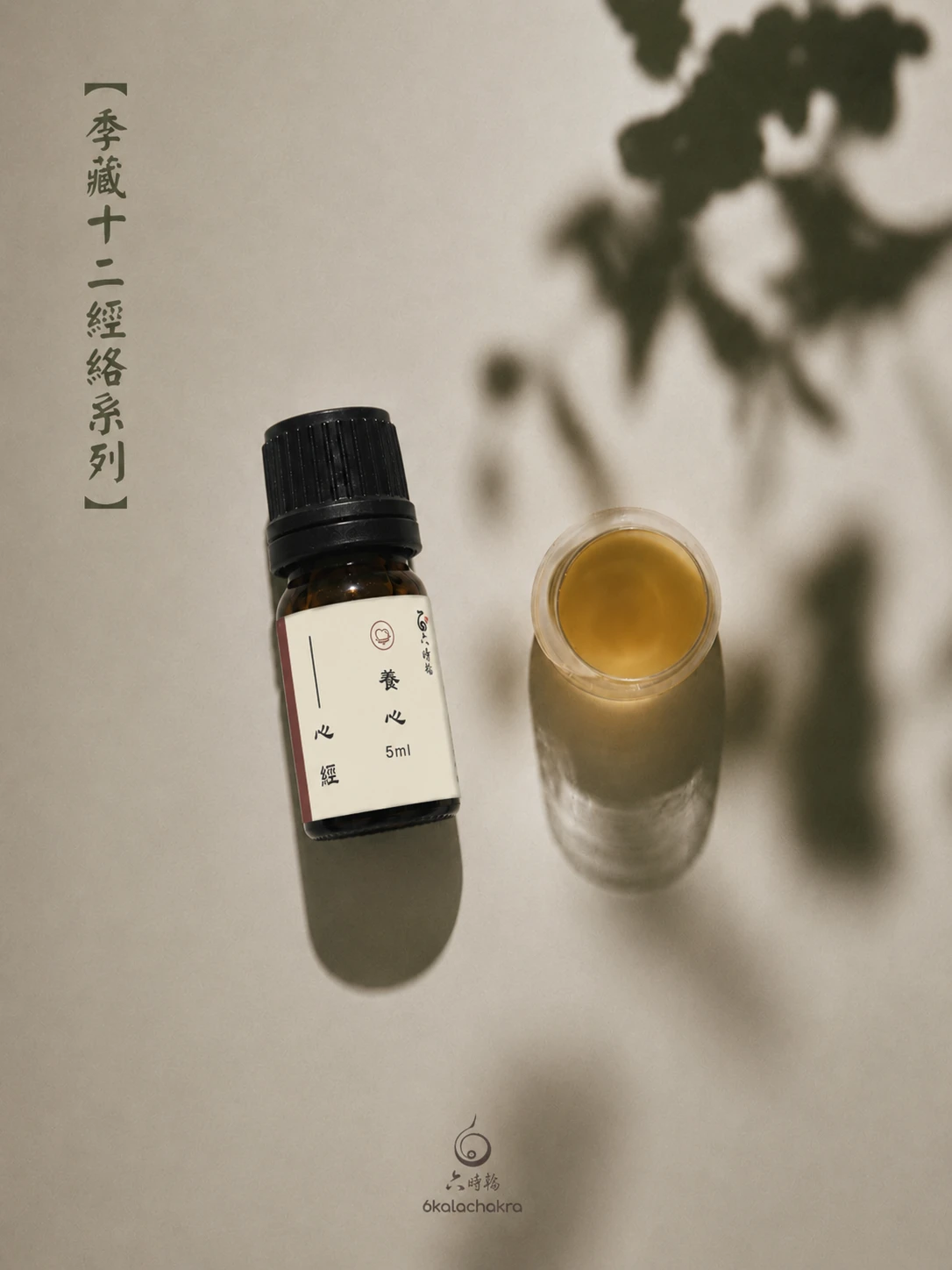 手少陰-心經絡