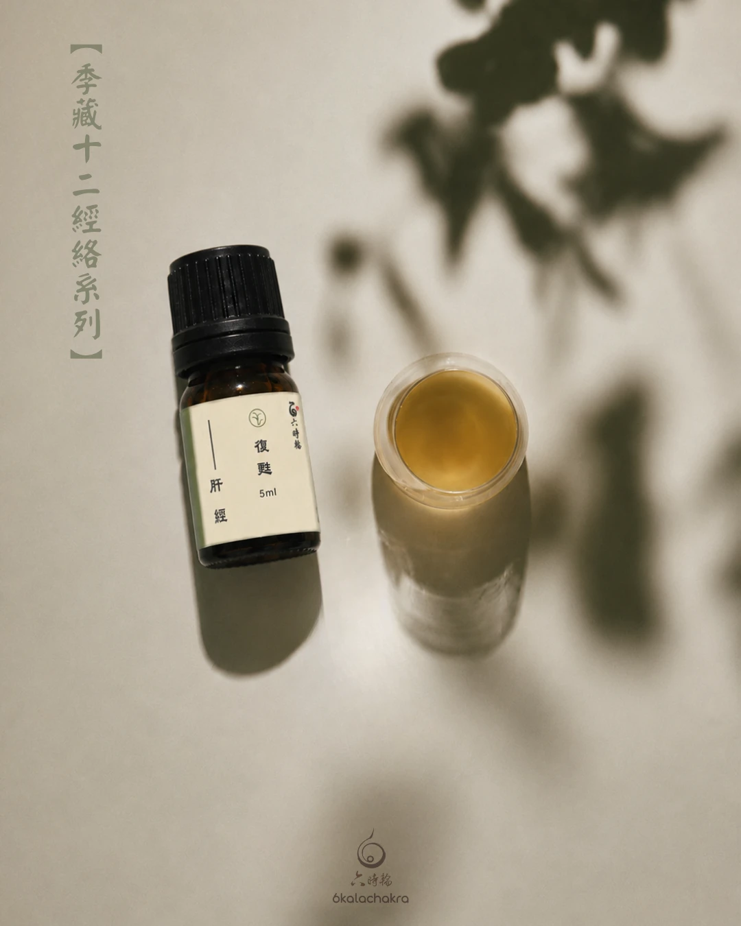 足厥陰-肝經絡