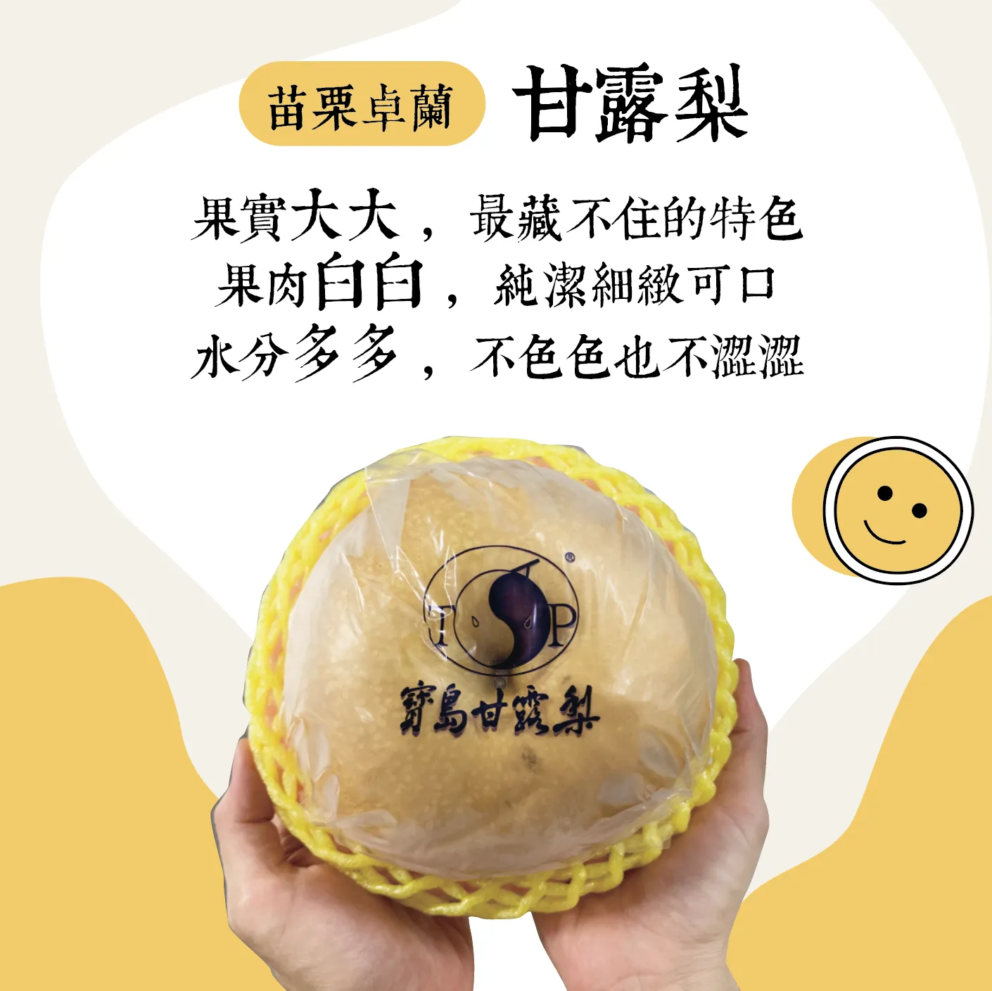 正港卓蘭！寶島甘露梨 ( 產地合作預購中 )