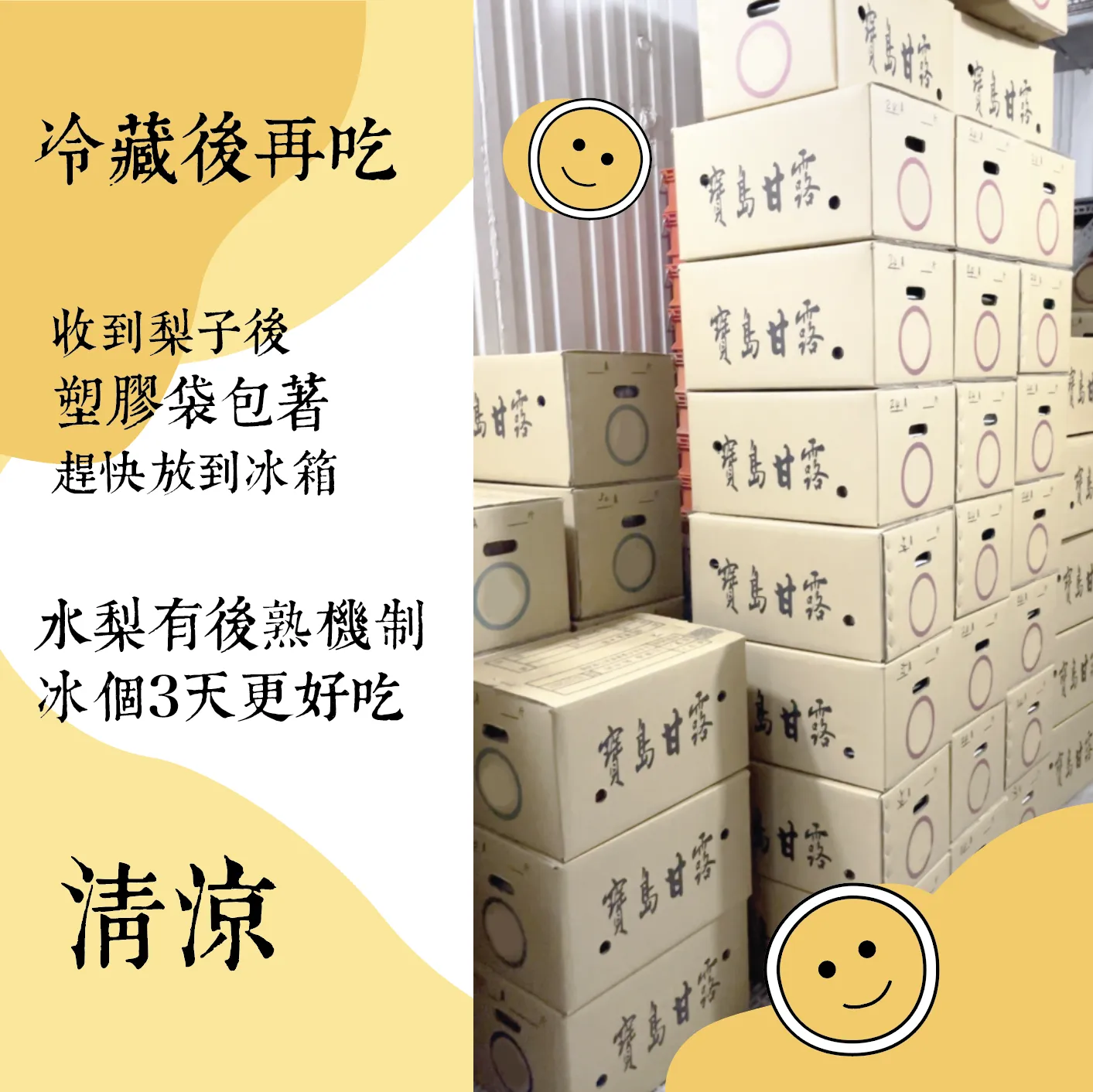 正港卓蘭！寶島甘露梨 ( 產地合作預購中 )