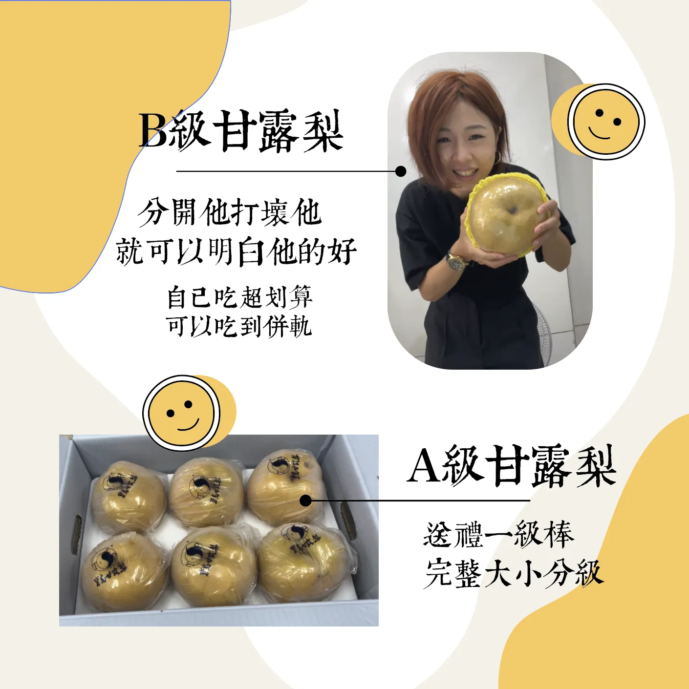 正港卓蘭！寶島甘露梨 ( 產地合作預購中 )