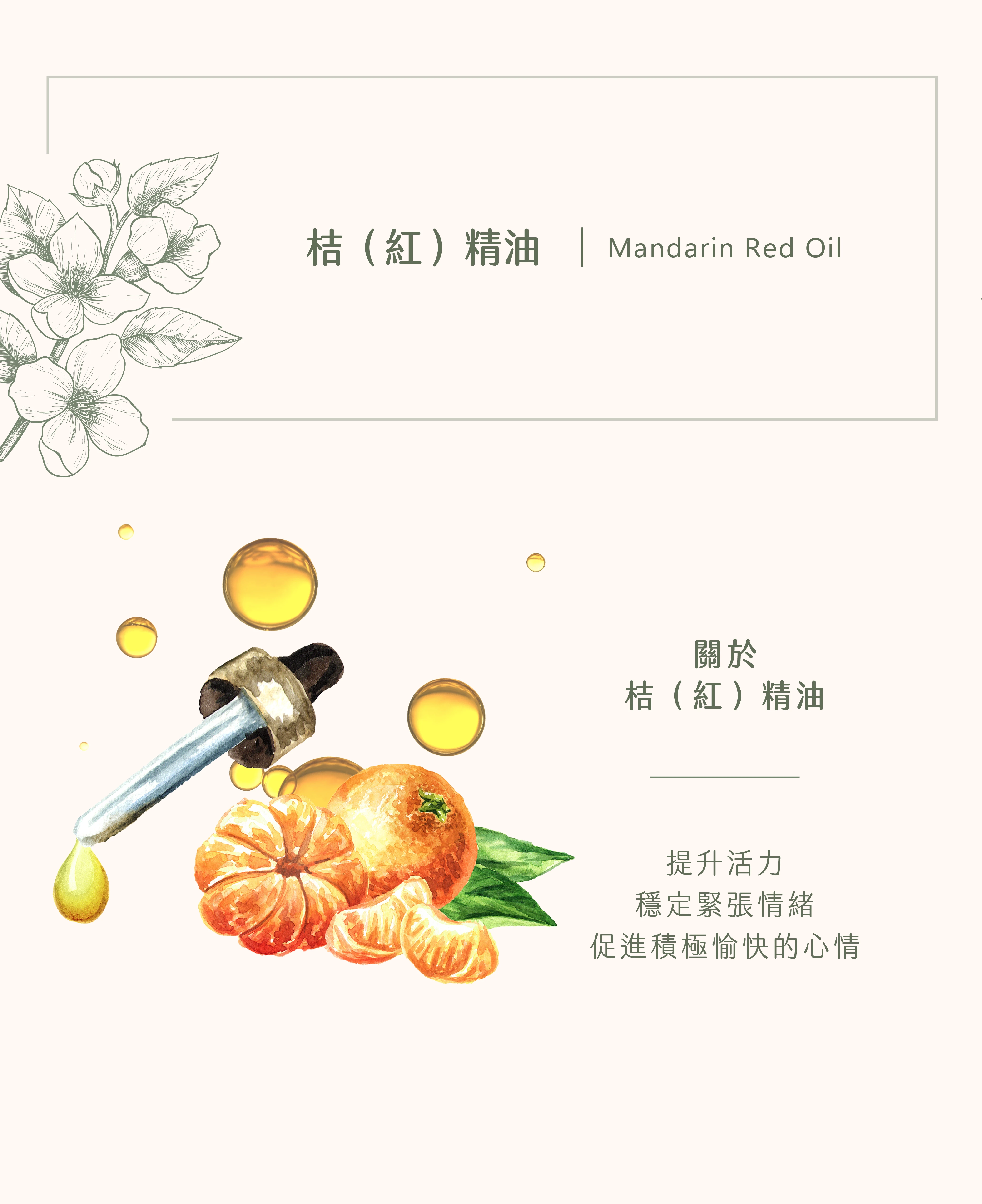 桔(紅)精油｜時刻都活力充沛
