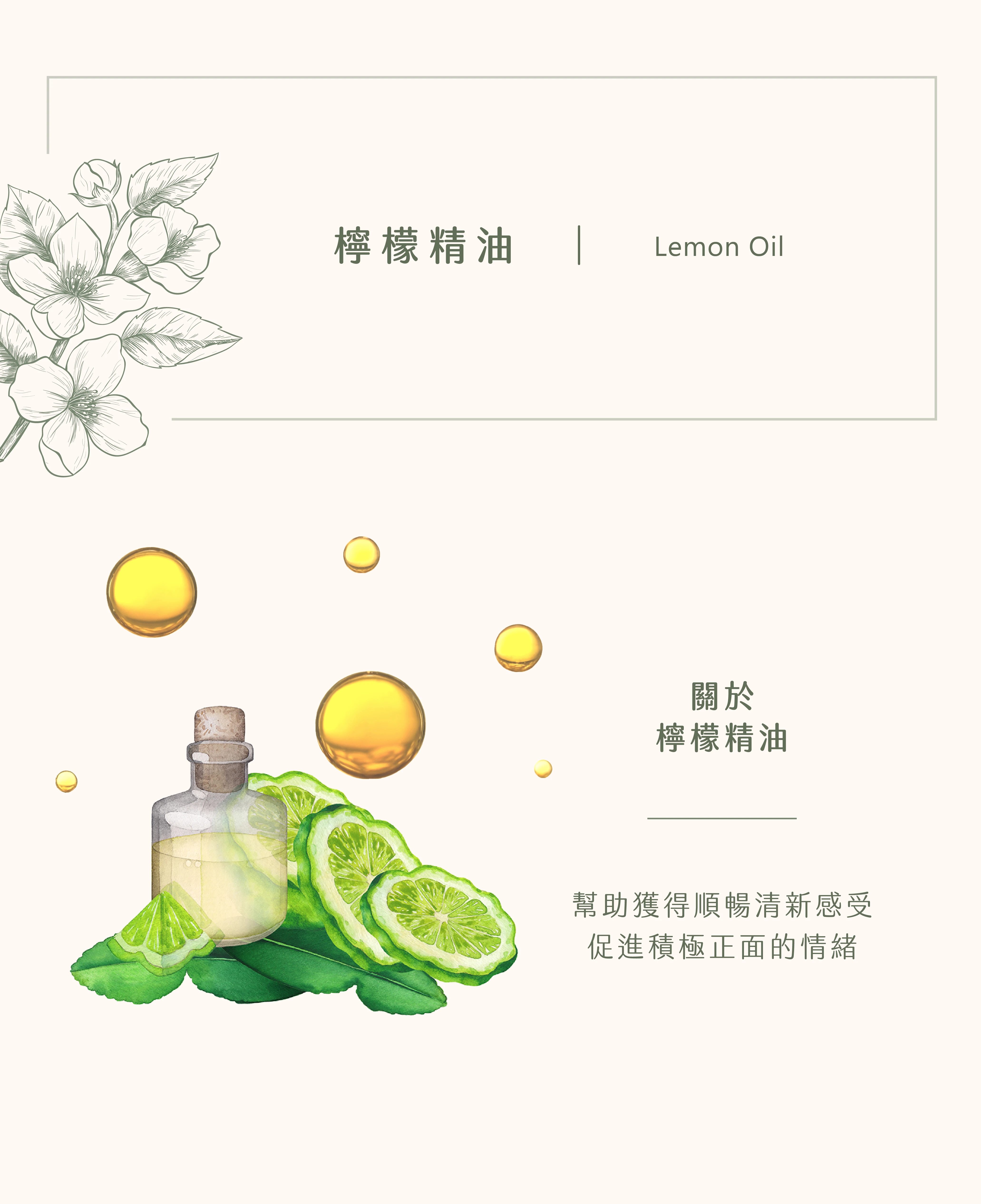 檸檬精油｜酸爽清新雙重享受