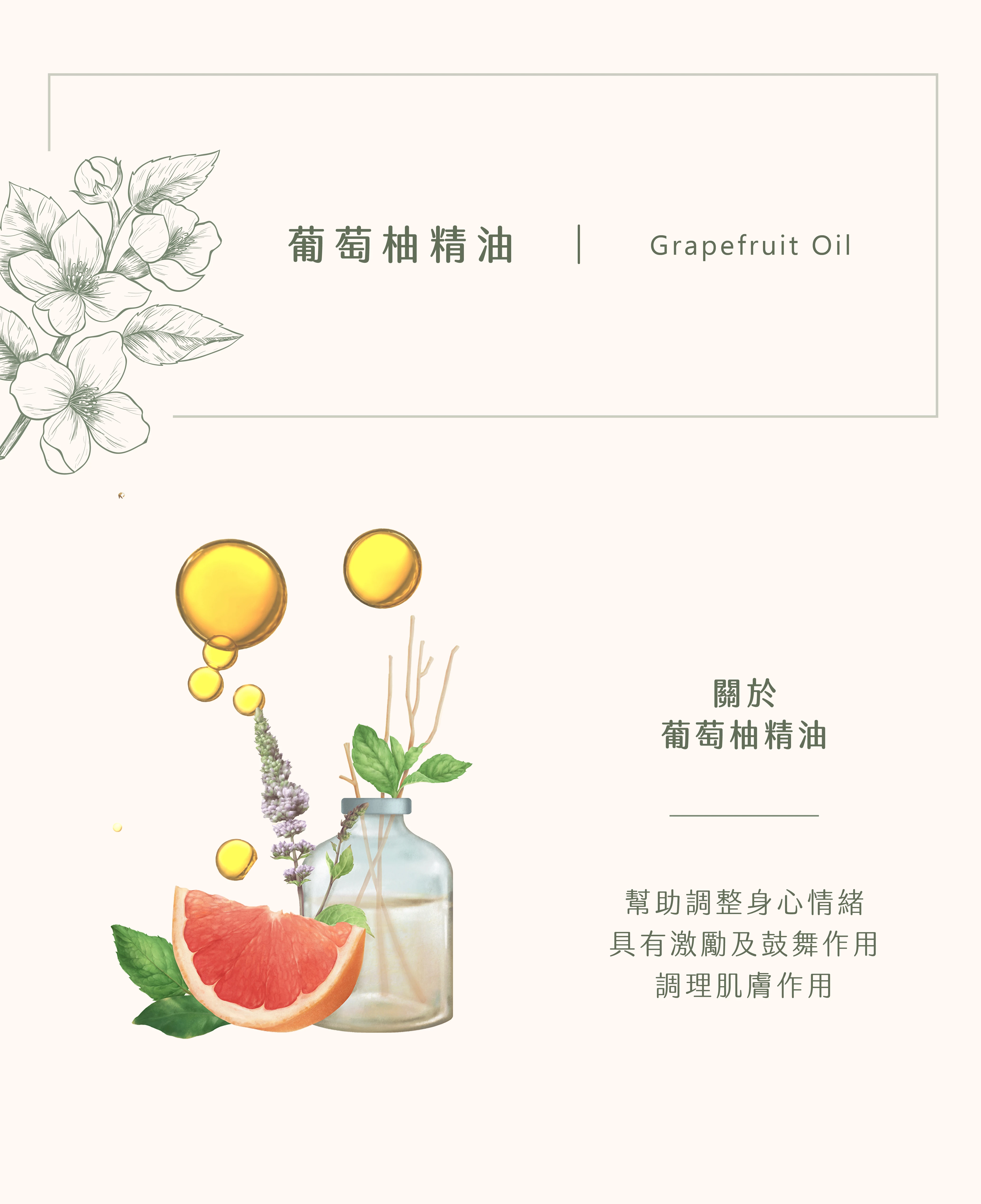 葡萄柚精油｜重整旗鼓再出發
