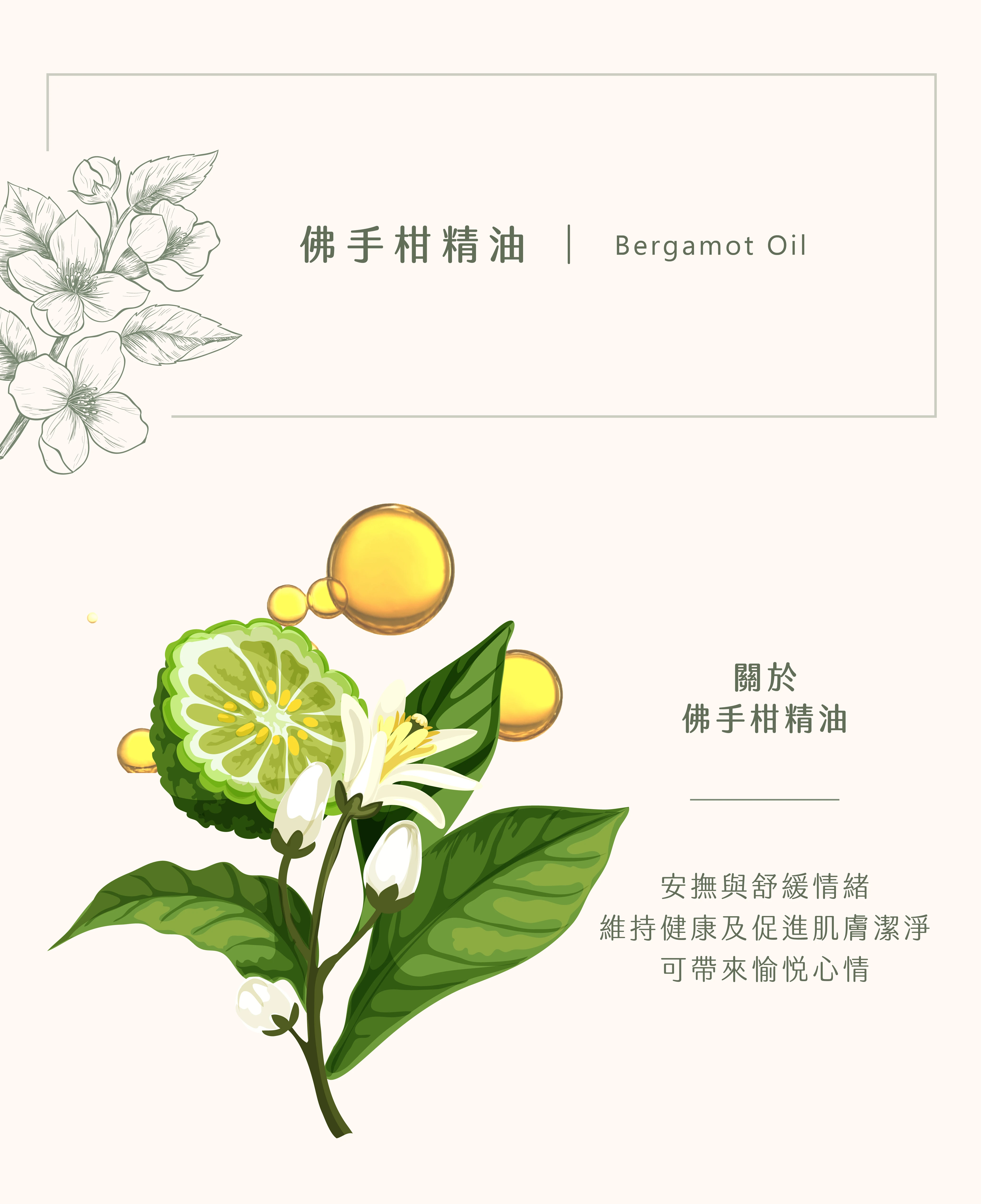 佛手柑精油｜開啟活力的一天