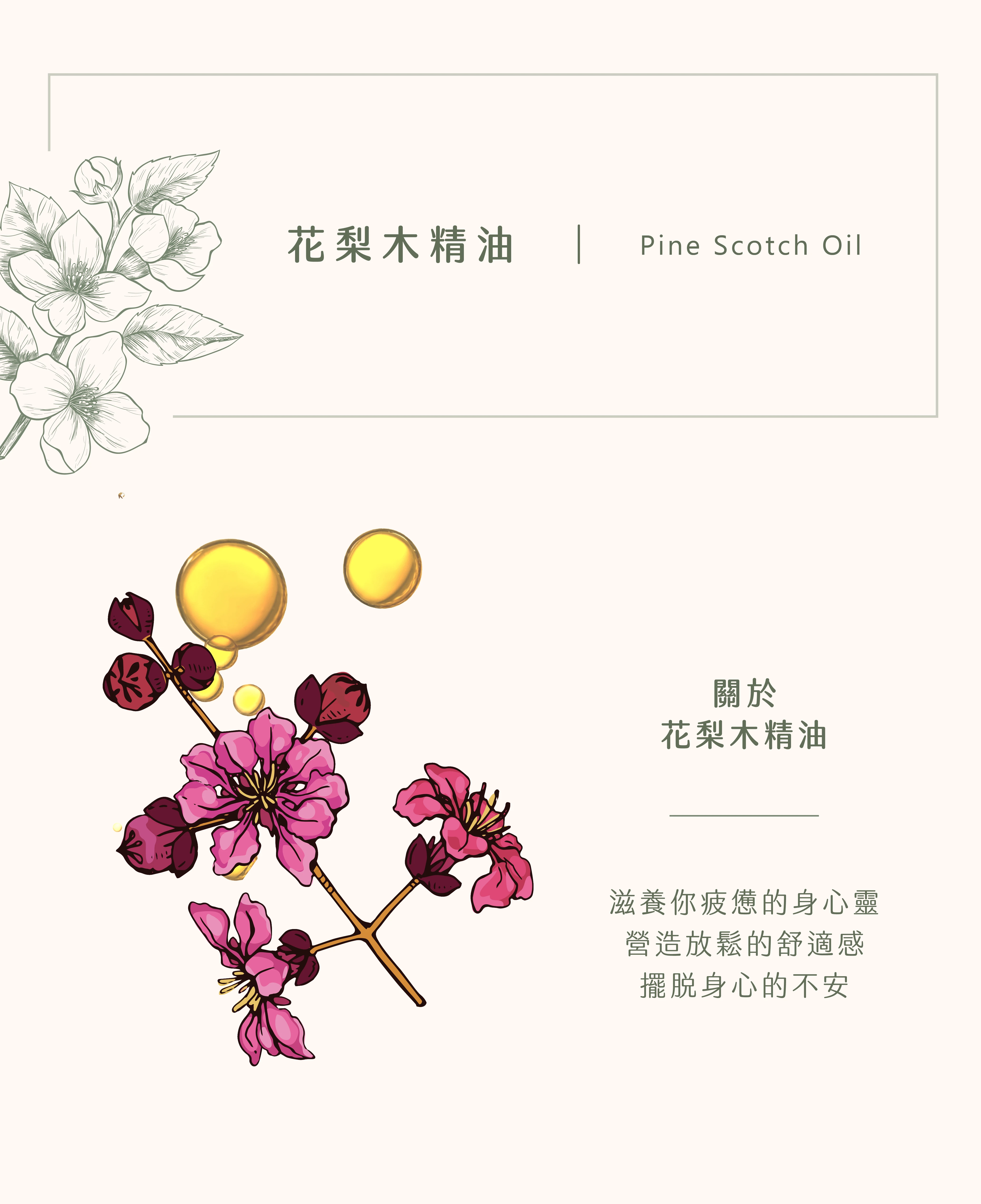 花梨木精油｜心靈休息站