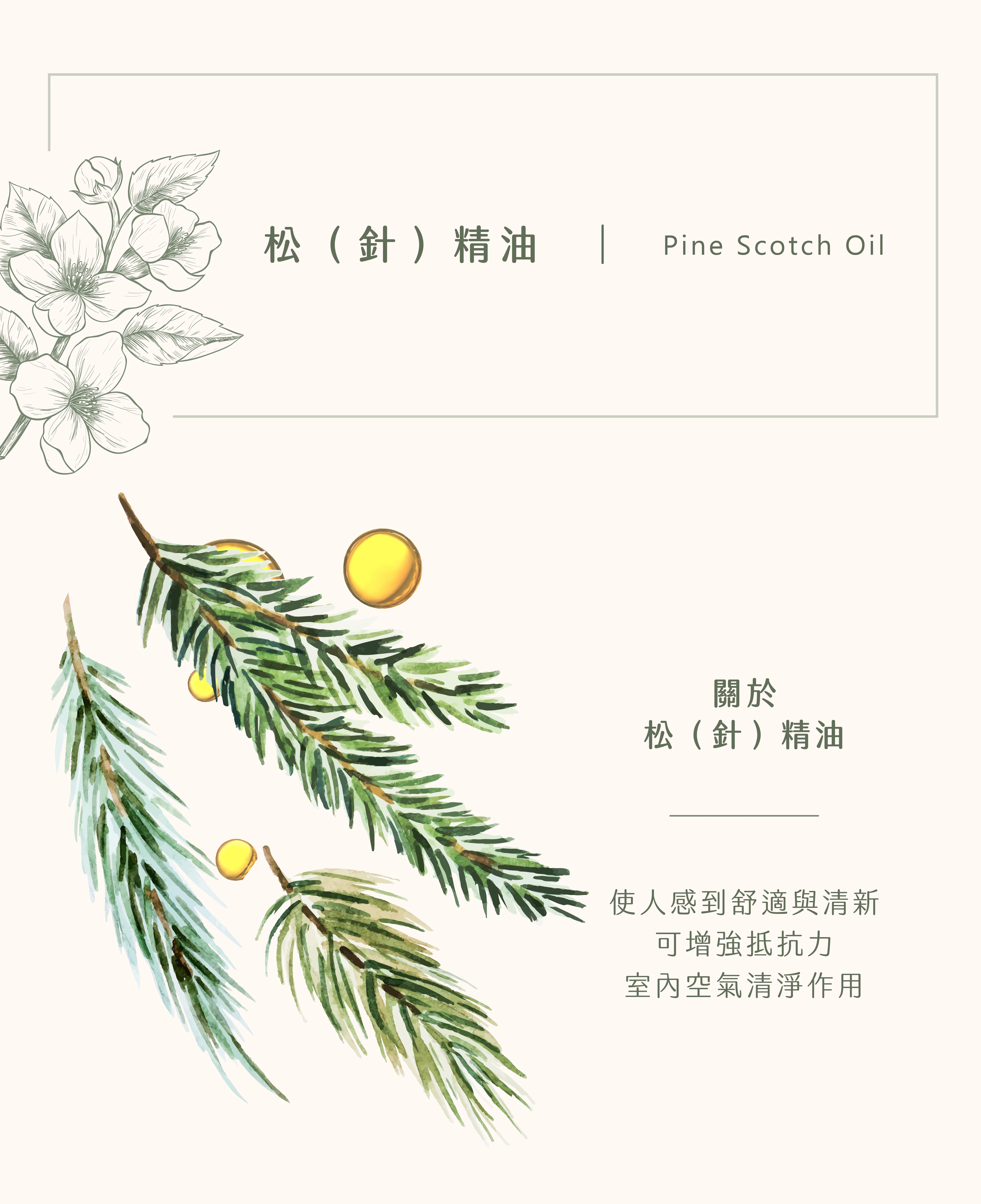 松(針)精油｜讓精神渙然一新
