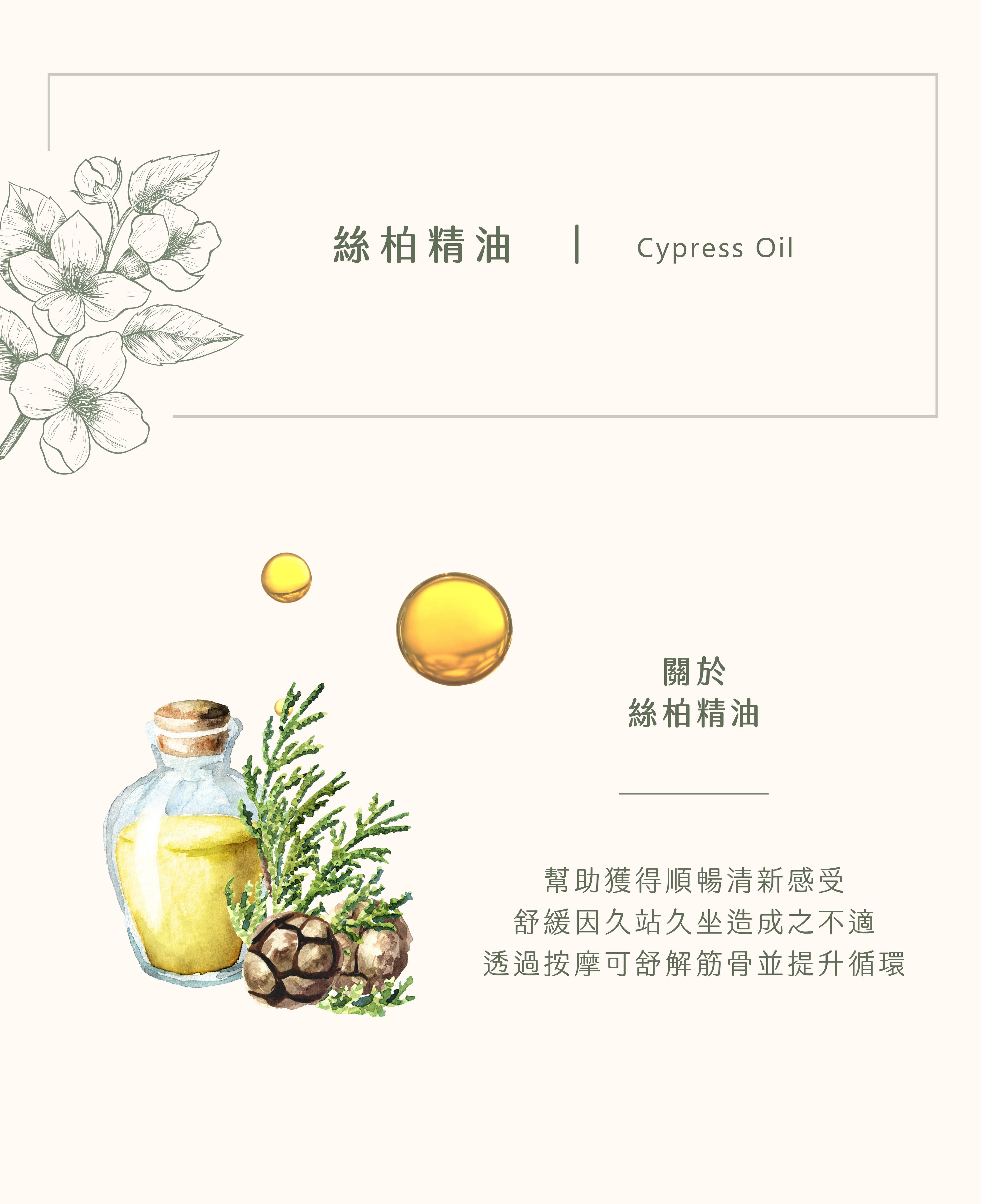 絲柏精油｜猶如置身於大地