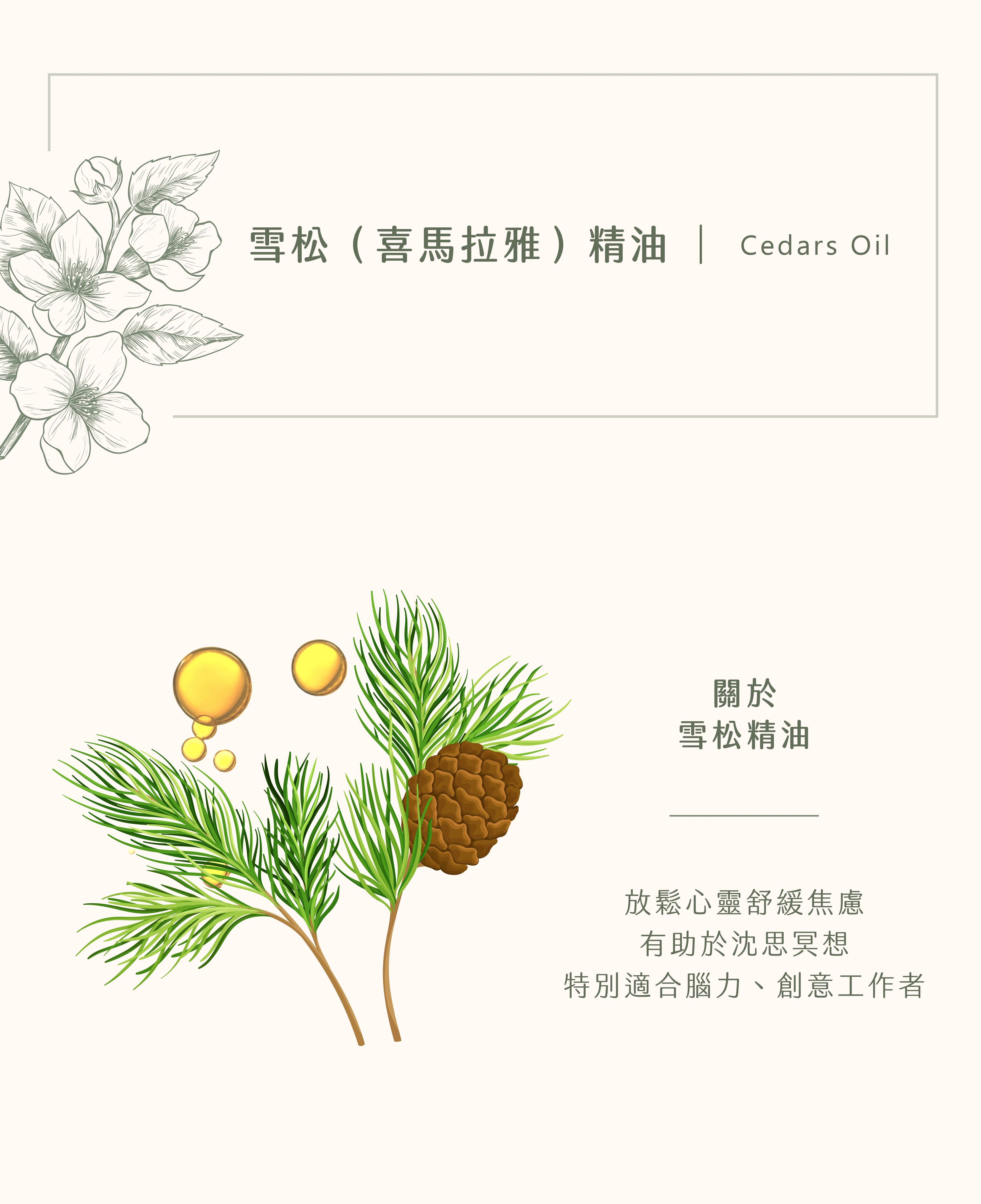 雪松(喜瑪拉雅)精油｜盡情與心靈共舞
