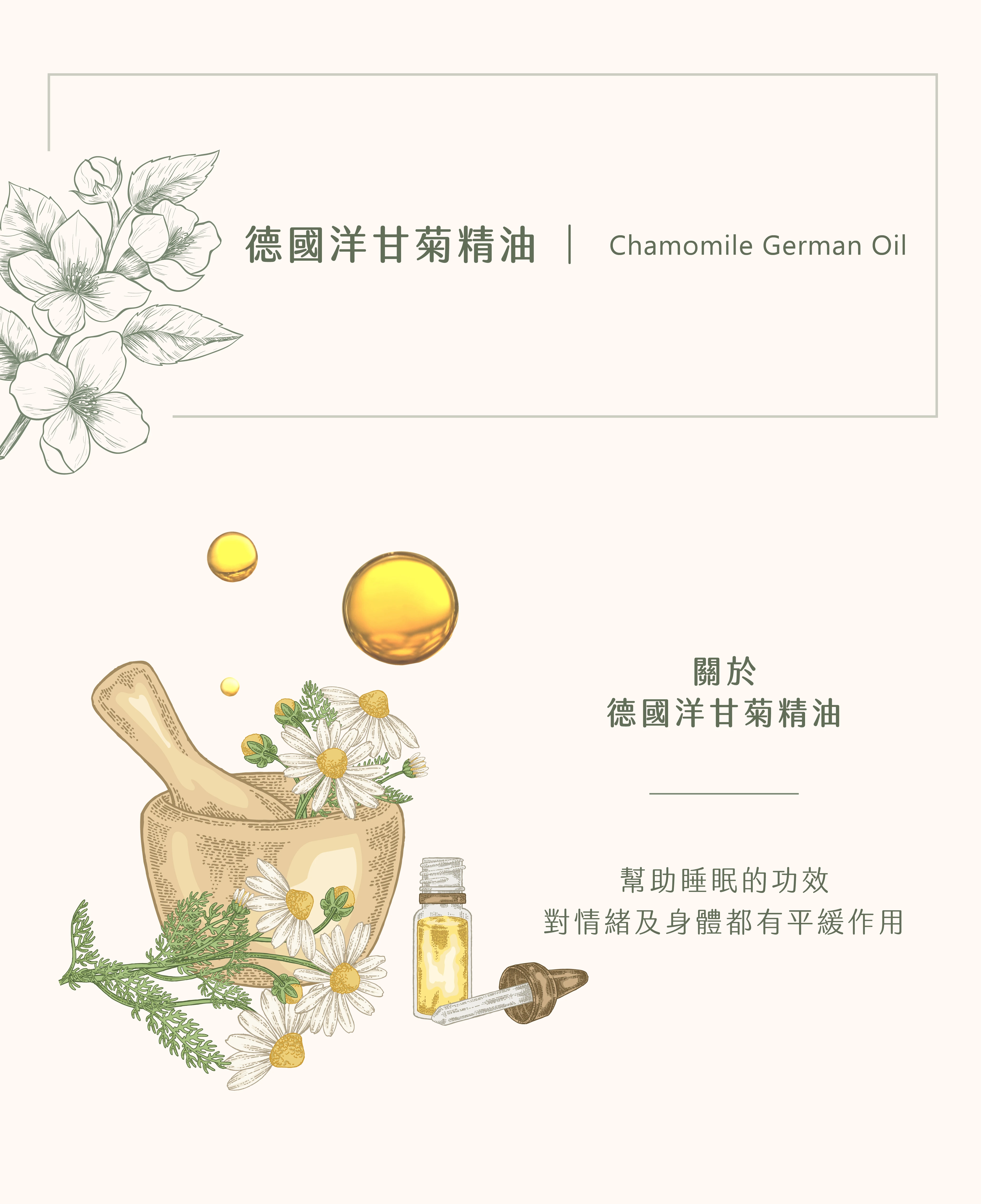 德國洋甘菊精油｜趕走睡眠小偷