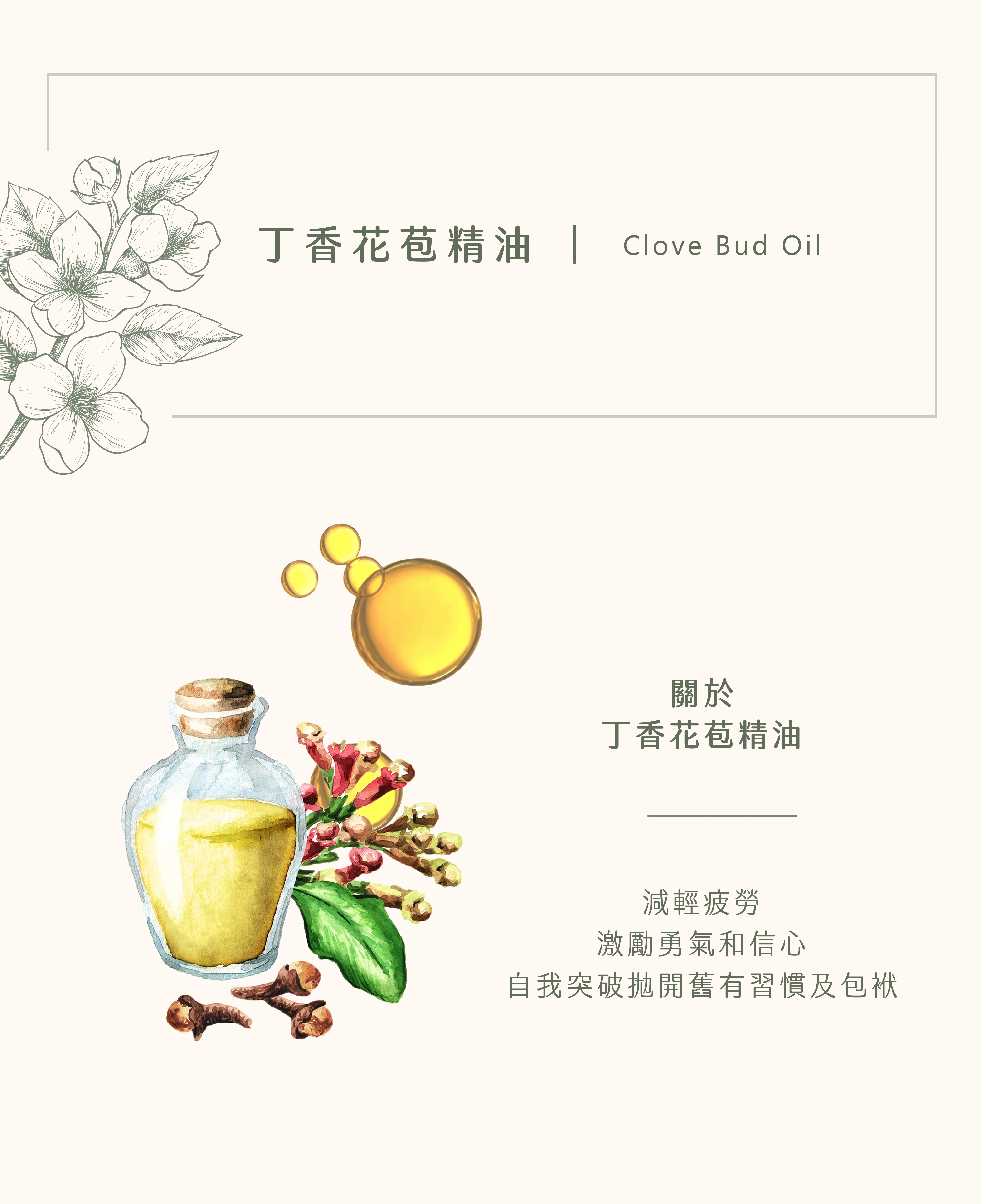 丁香花苞精油｜帶給靈魂關懷  