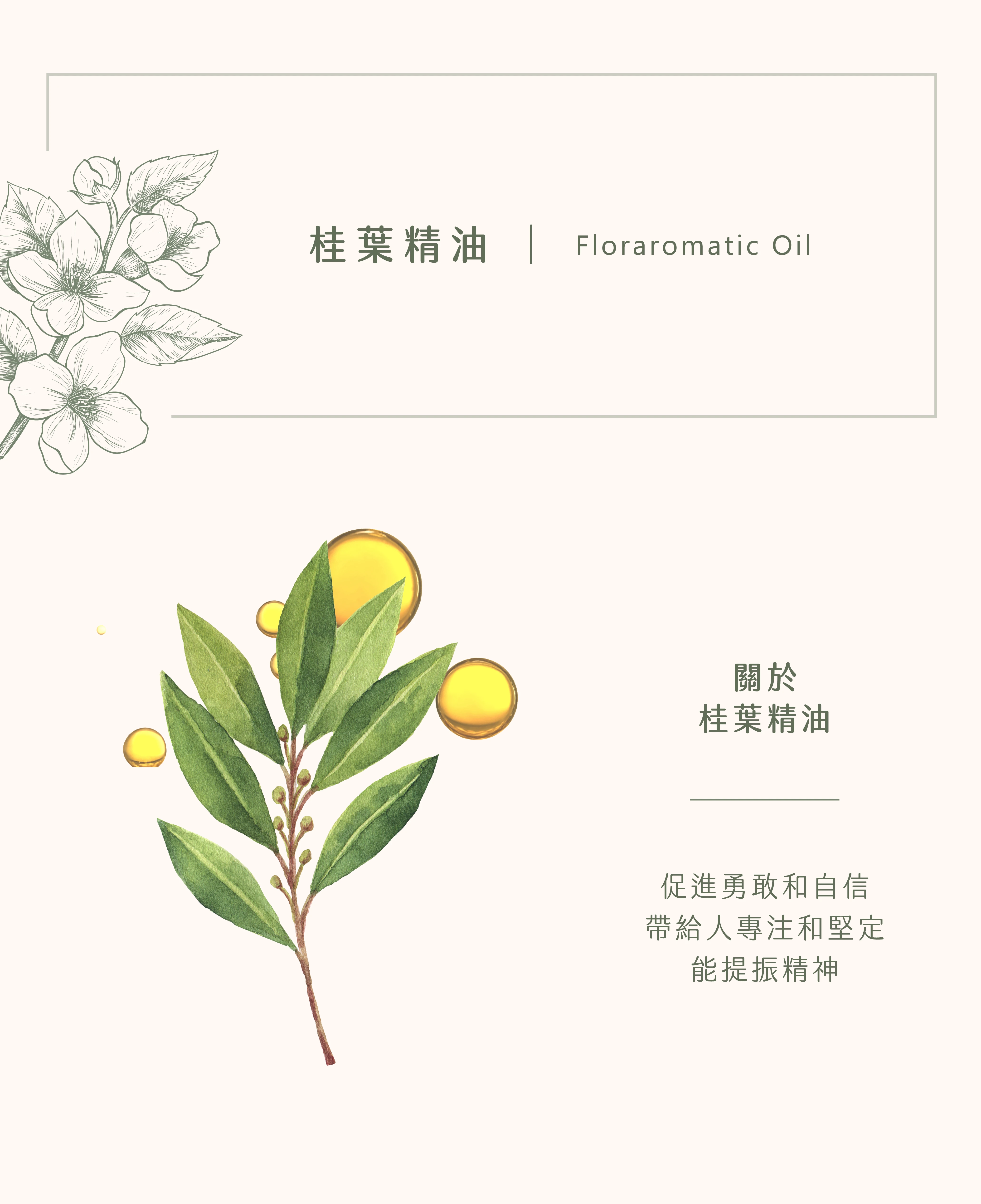 桂葉精油｜擁抱你的不自信