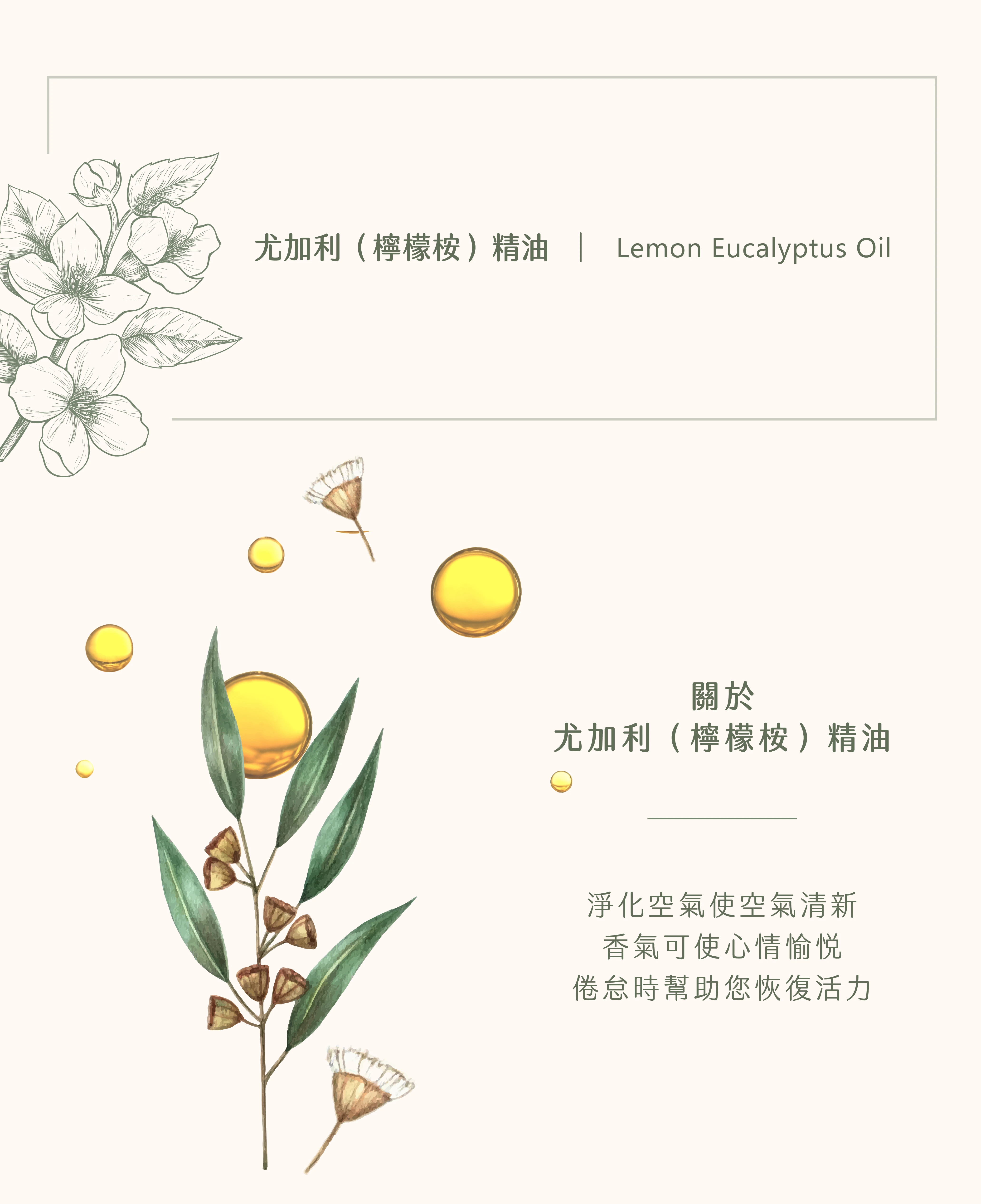 尤加利(檸檬桉) 精油｜每刻都清新愜意