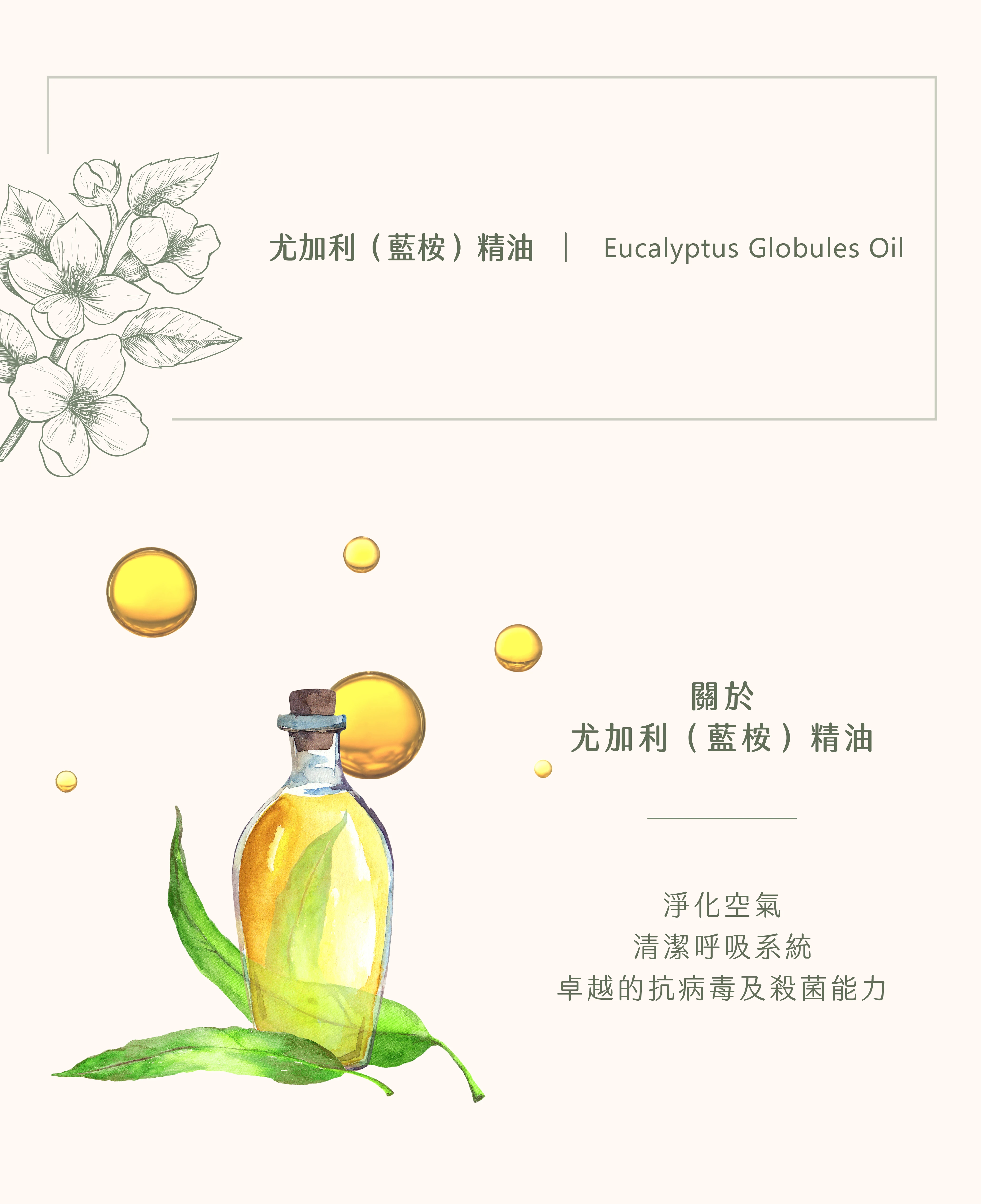 尤加利(藍桉) 精油｜你的清潔小幫手