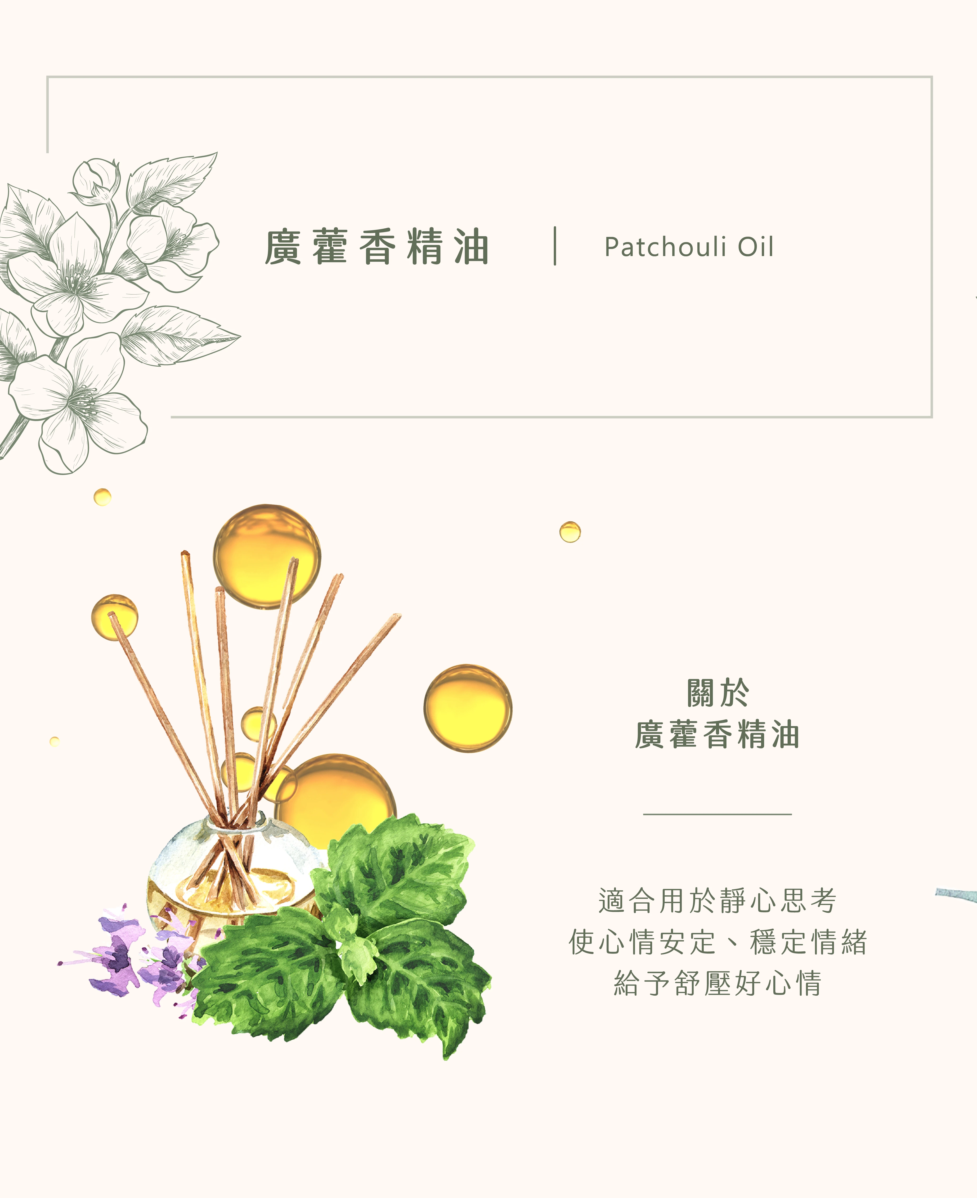 廣藿香精油｜你的心靈定心丸