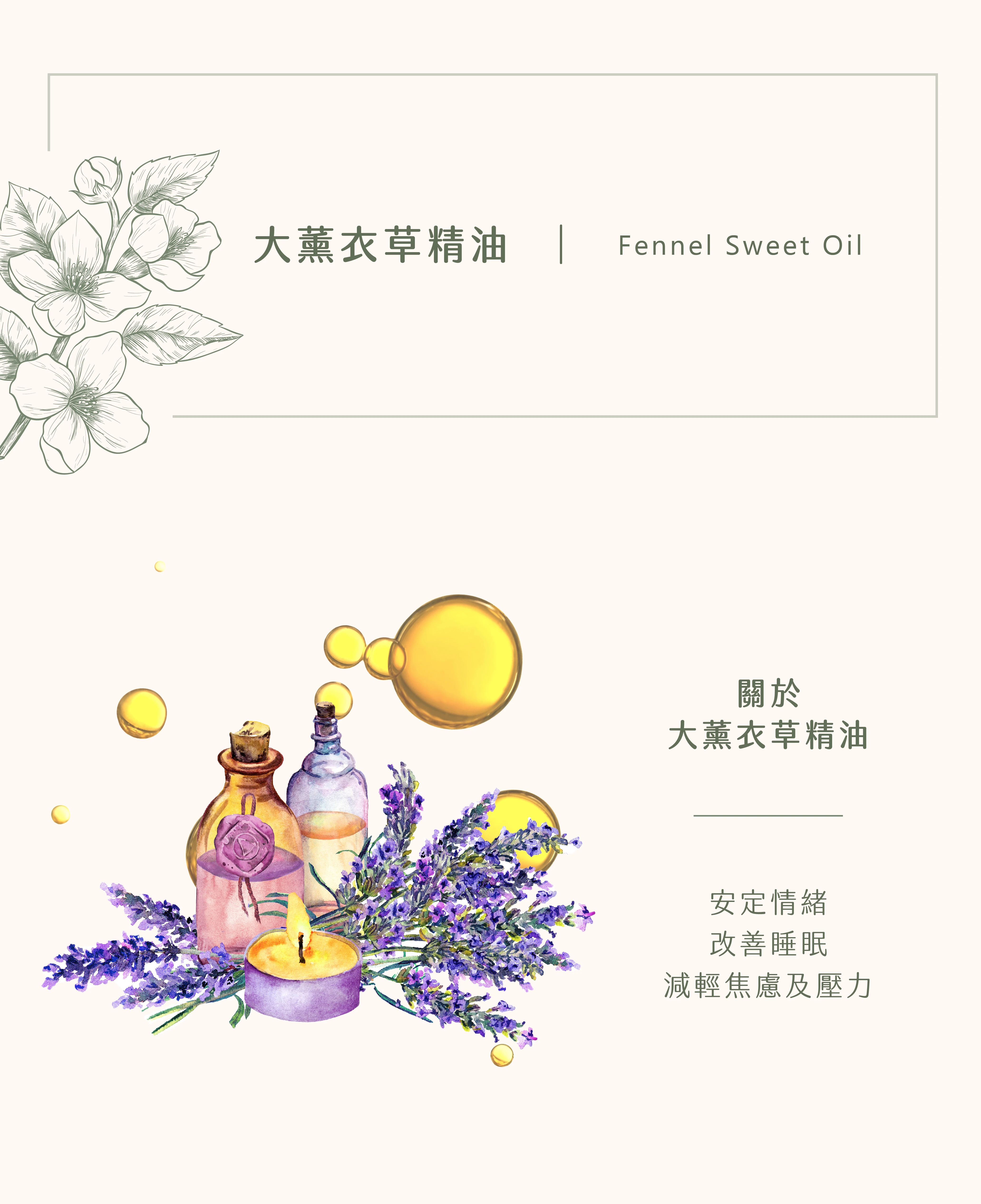 大薰衣草精油｜情緒鎮定劑