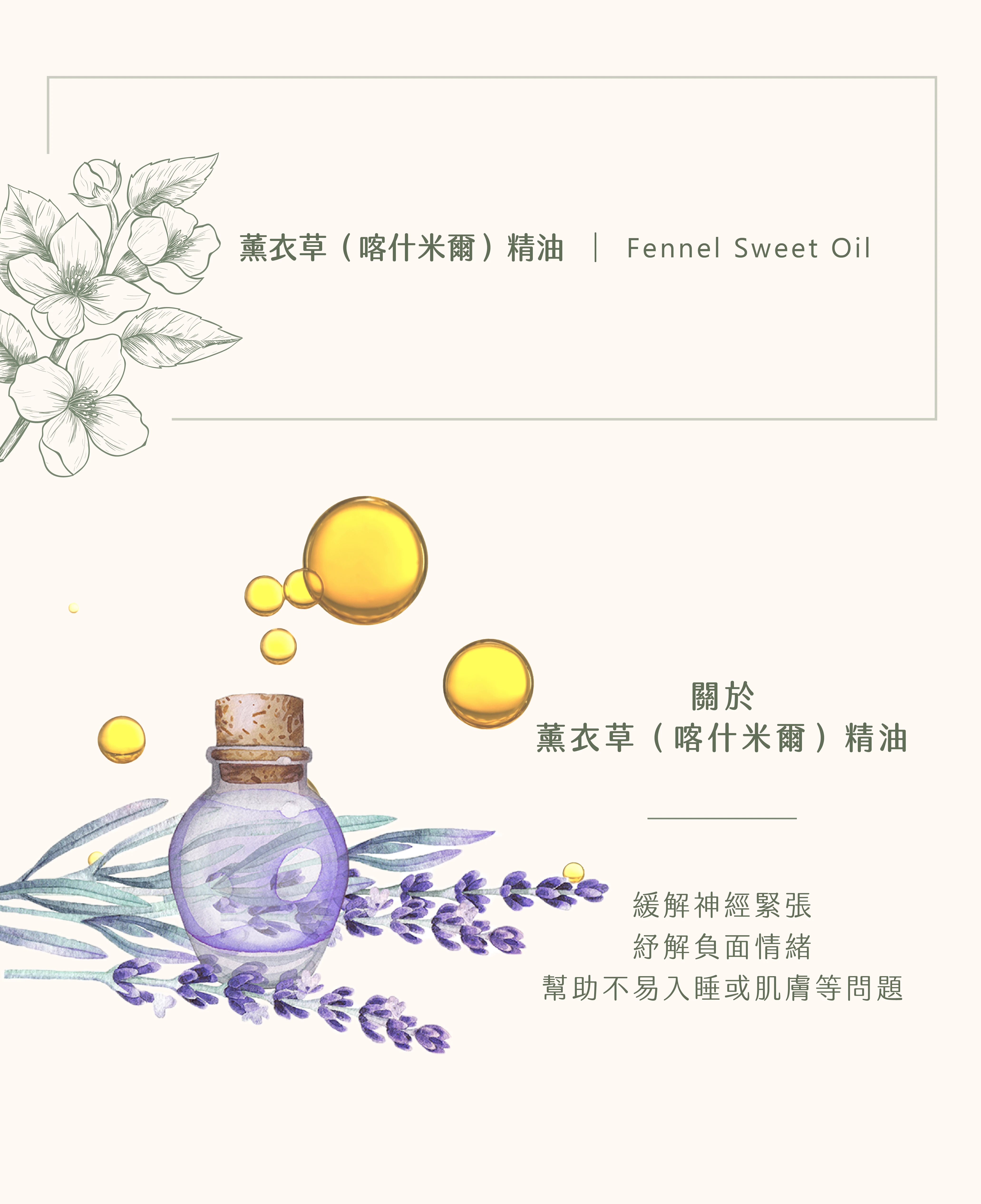 薰衣草（喀什米爾）精油｜你的萬用小幫手