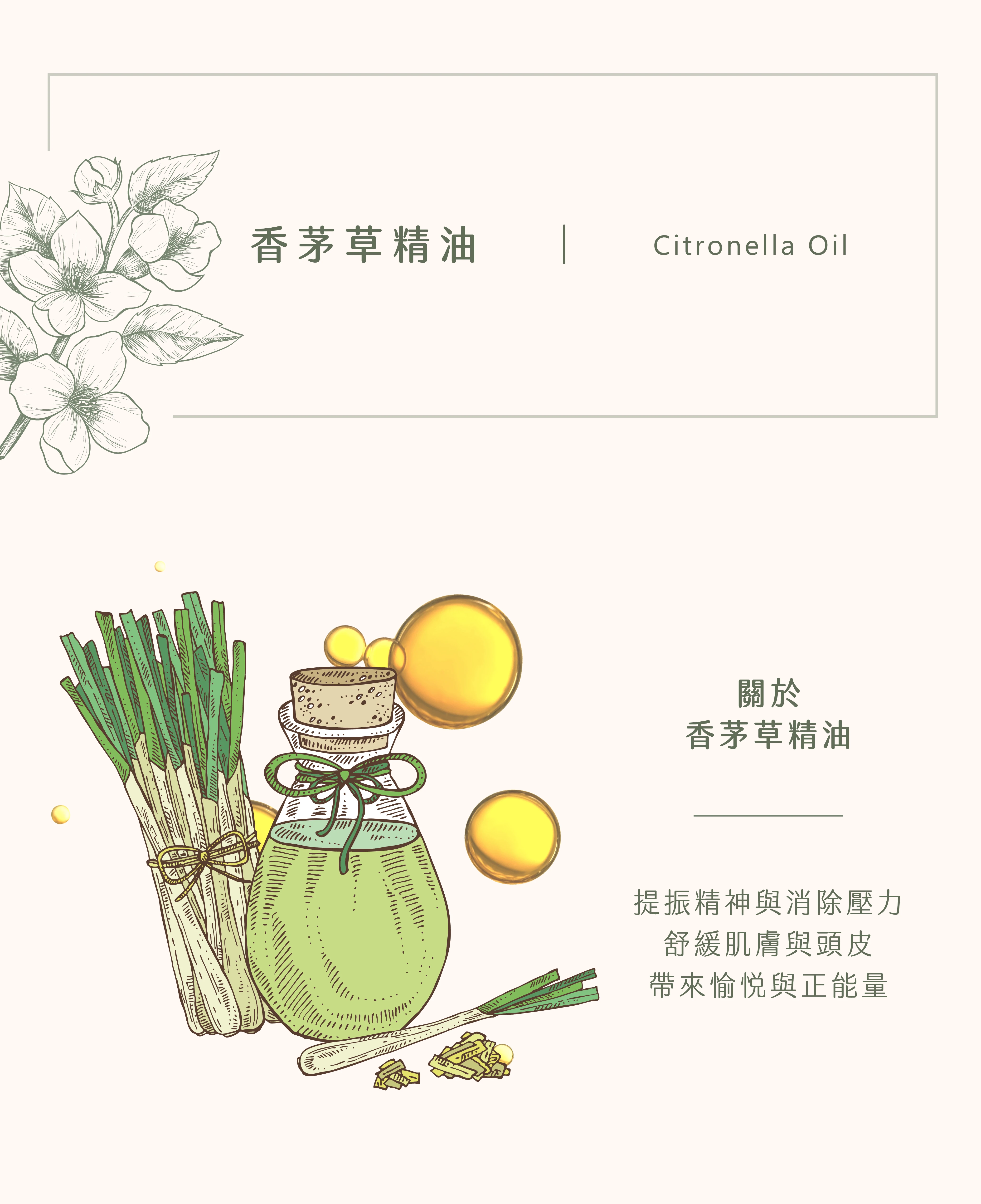 香茅草精油｜疾苦的救贖