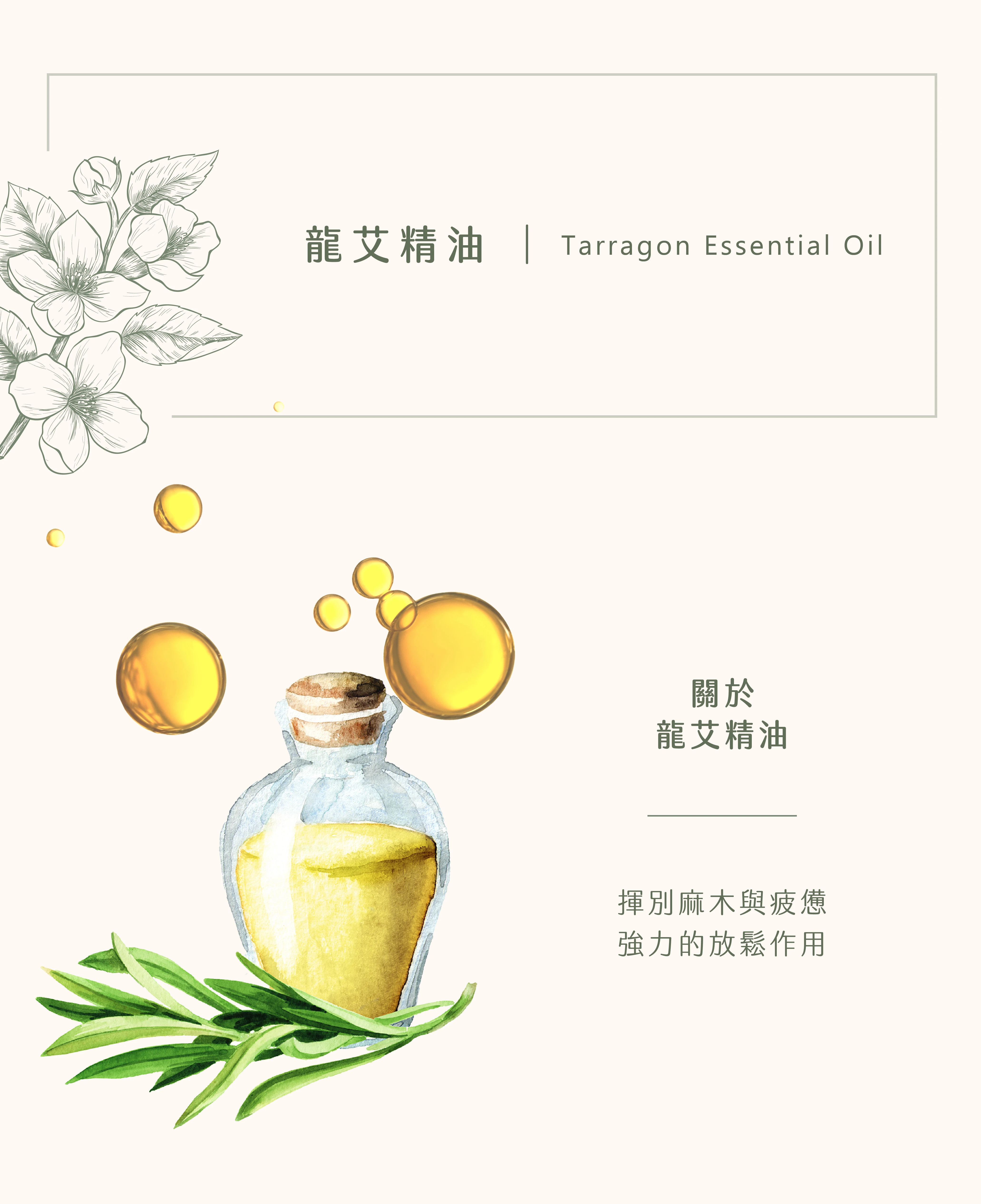 龍艾精油｜揮揮衣袖重心出發
