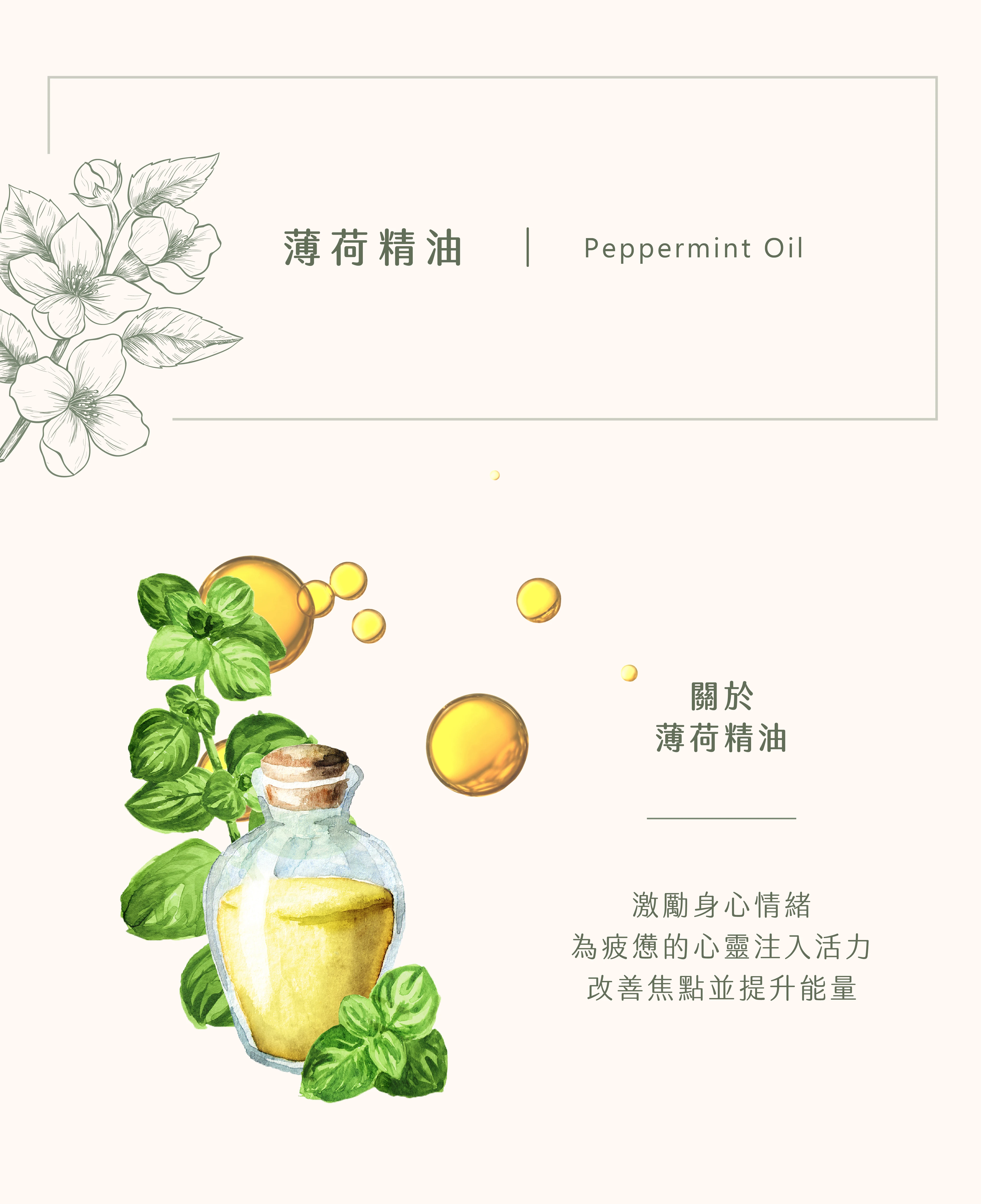 薄荷精油｜讓你活力滿點