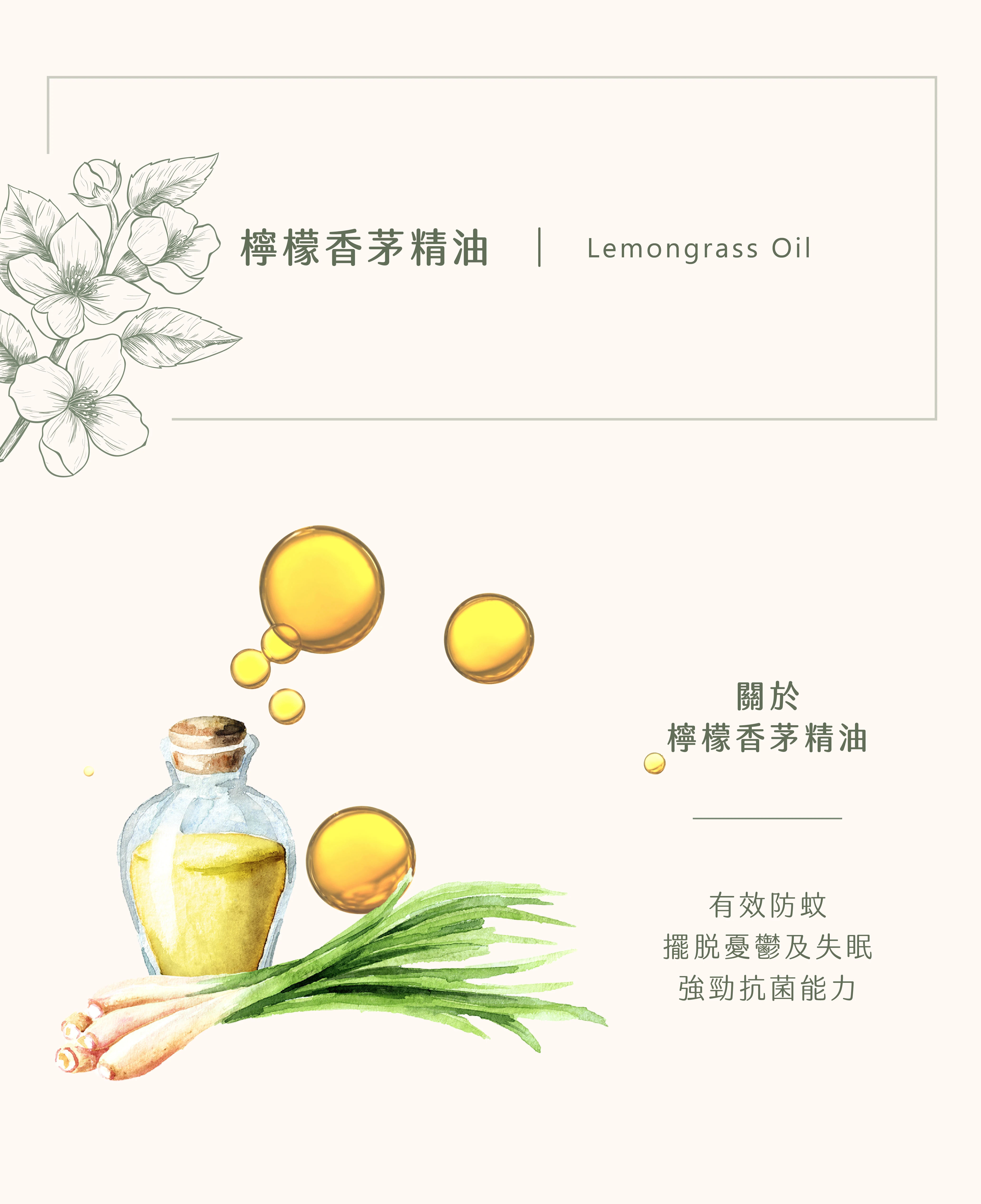 檸檬香茅精油｜重新出發的力量