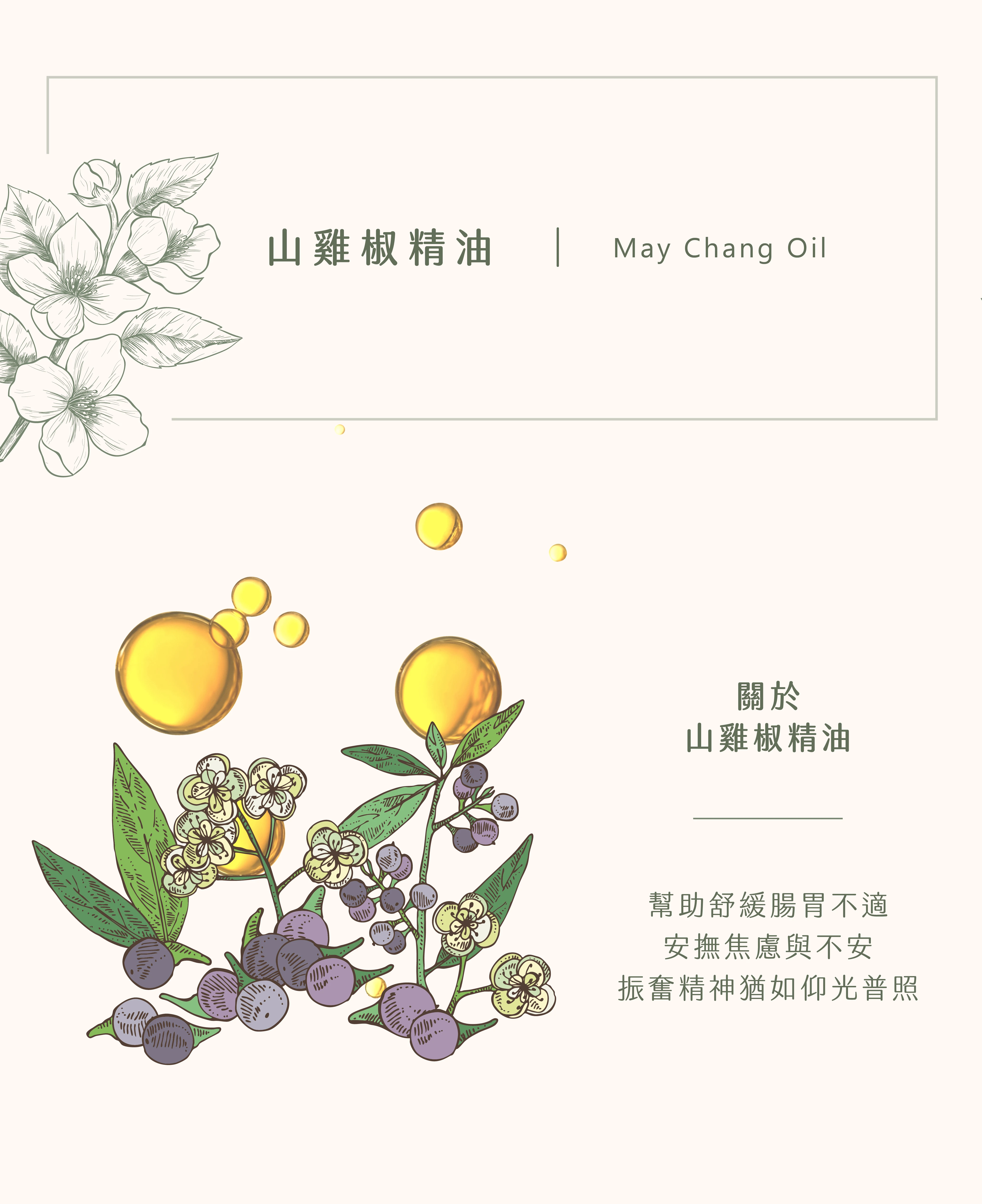山雞椒精油｜與生俱來的樂天
