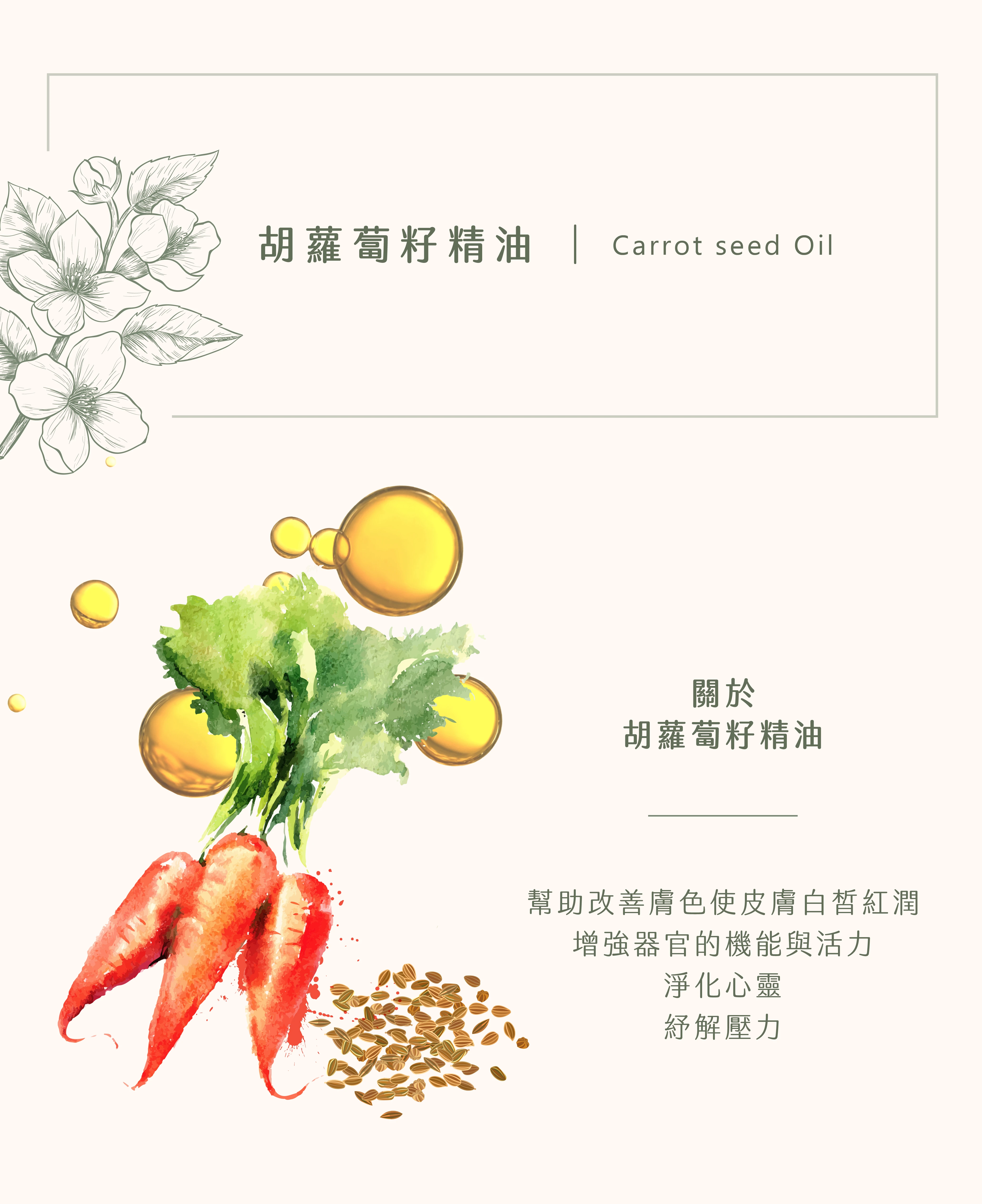 胡蘿蔔籽精油｜找回內外兼具的美
