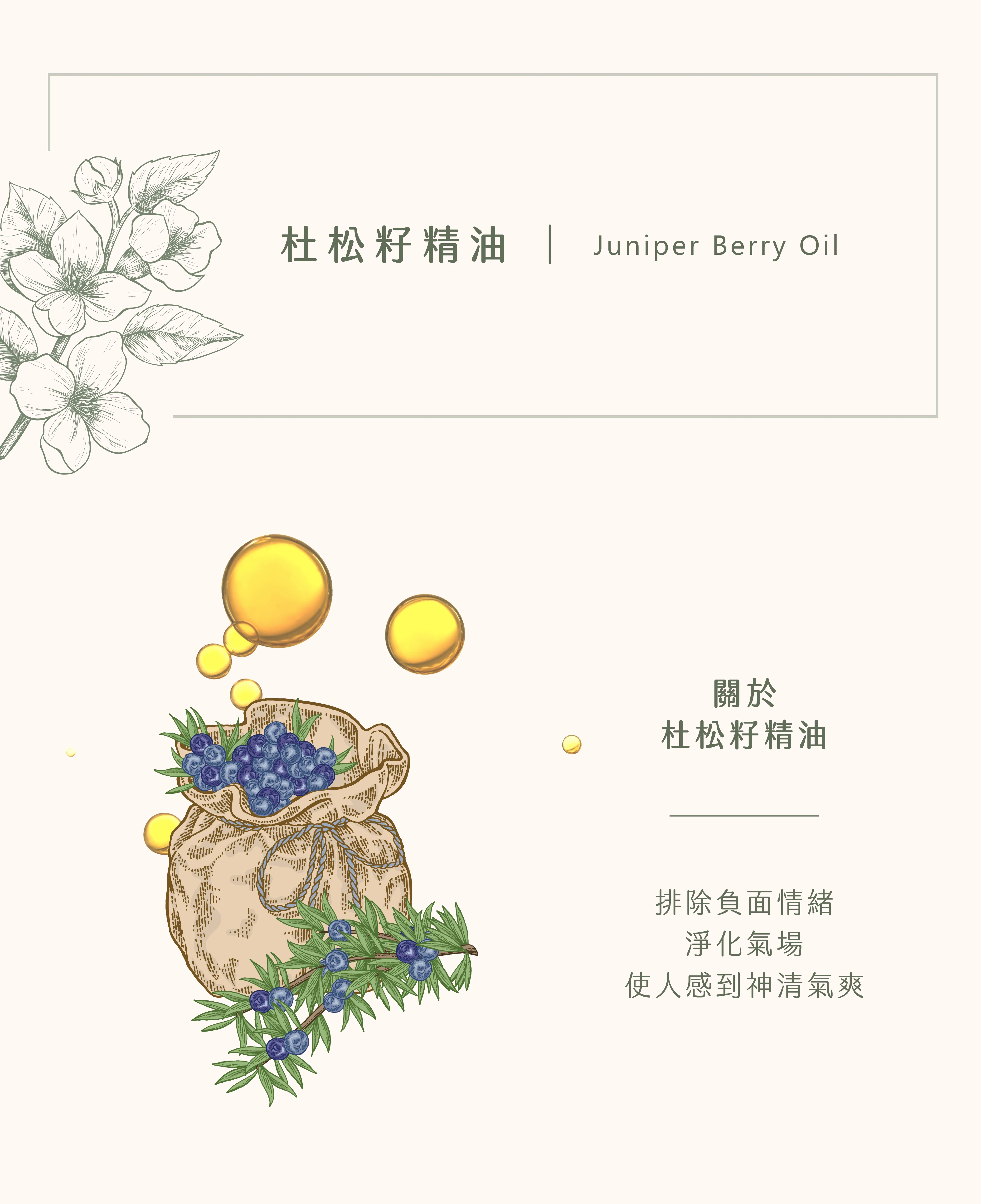 杜松籽精油｜與負能量斷捨離
