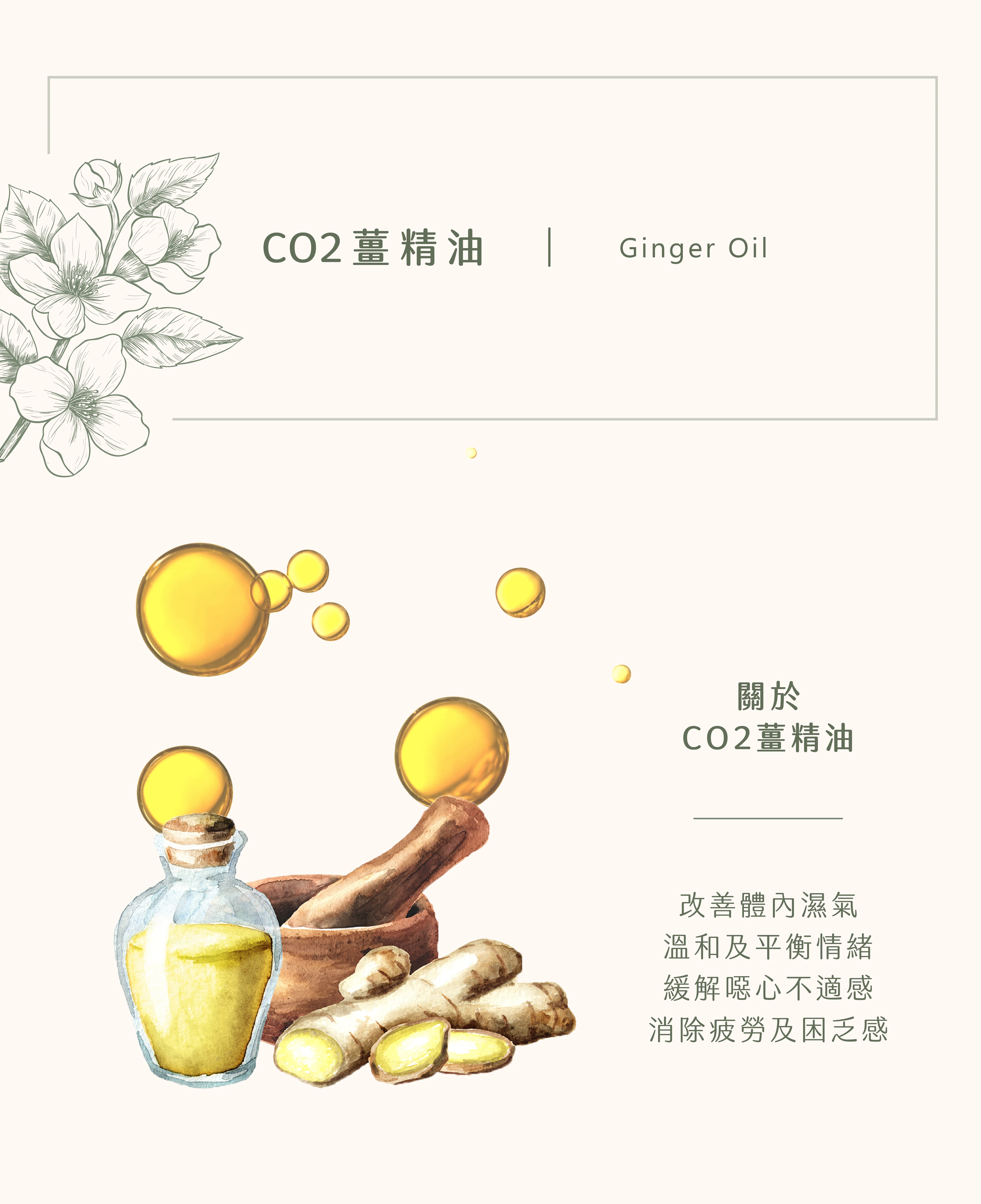 CO2薑精油｜您的心靈暖暖包