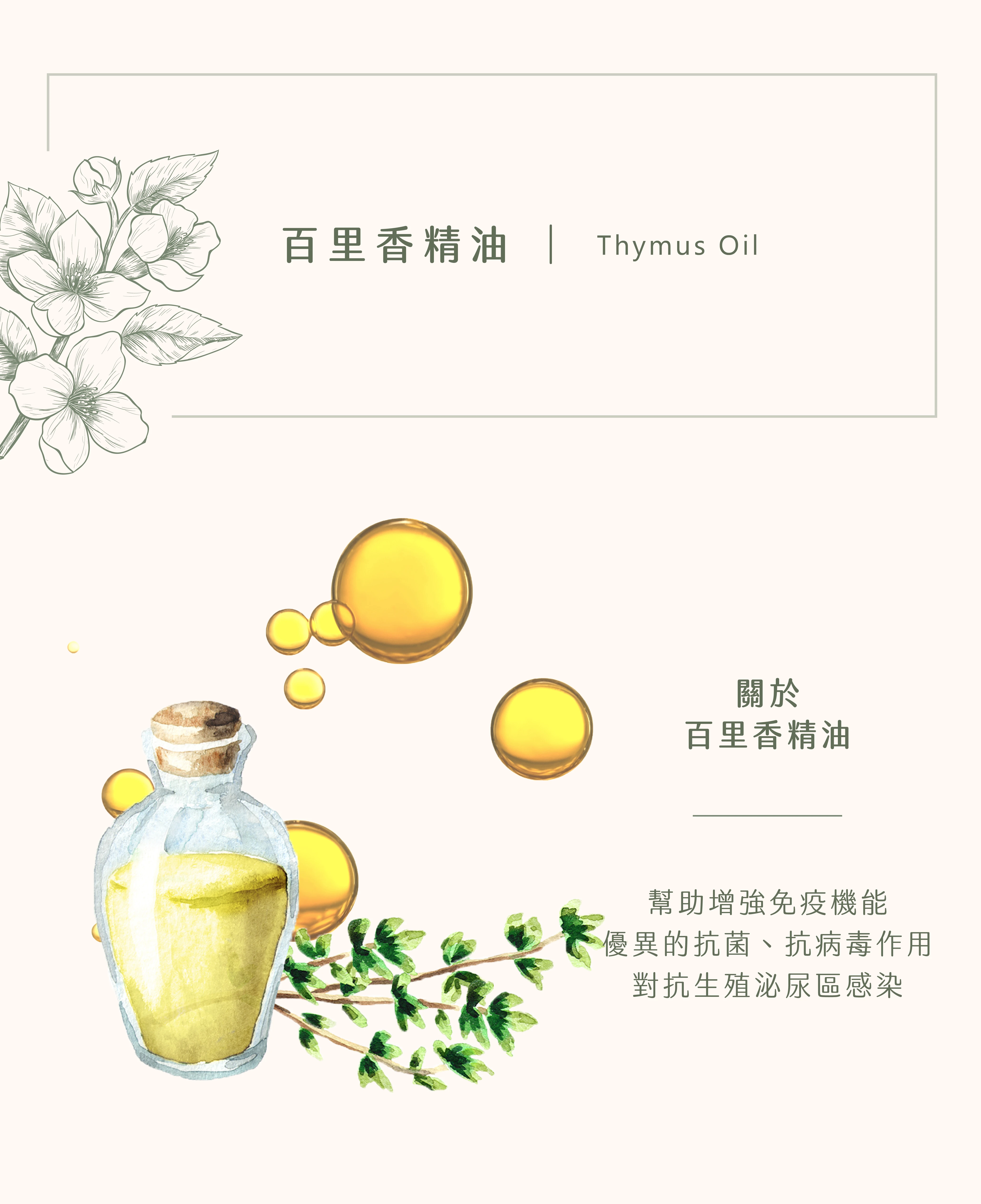 百里香精油｜天然免疫防護罩
