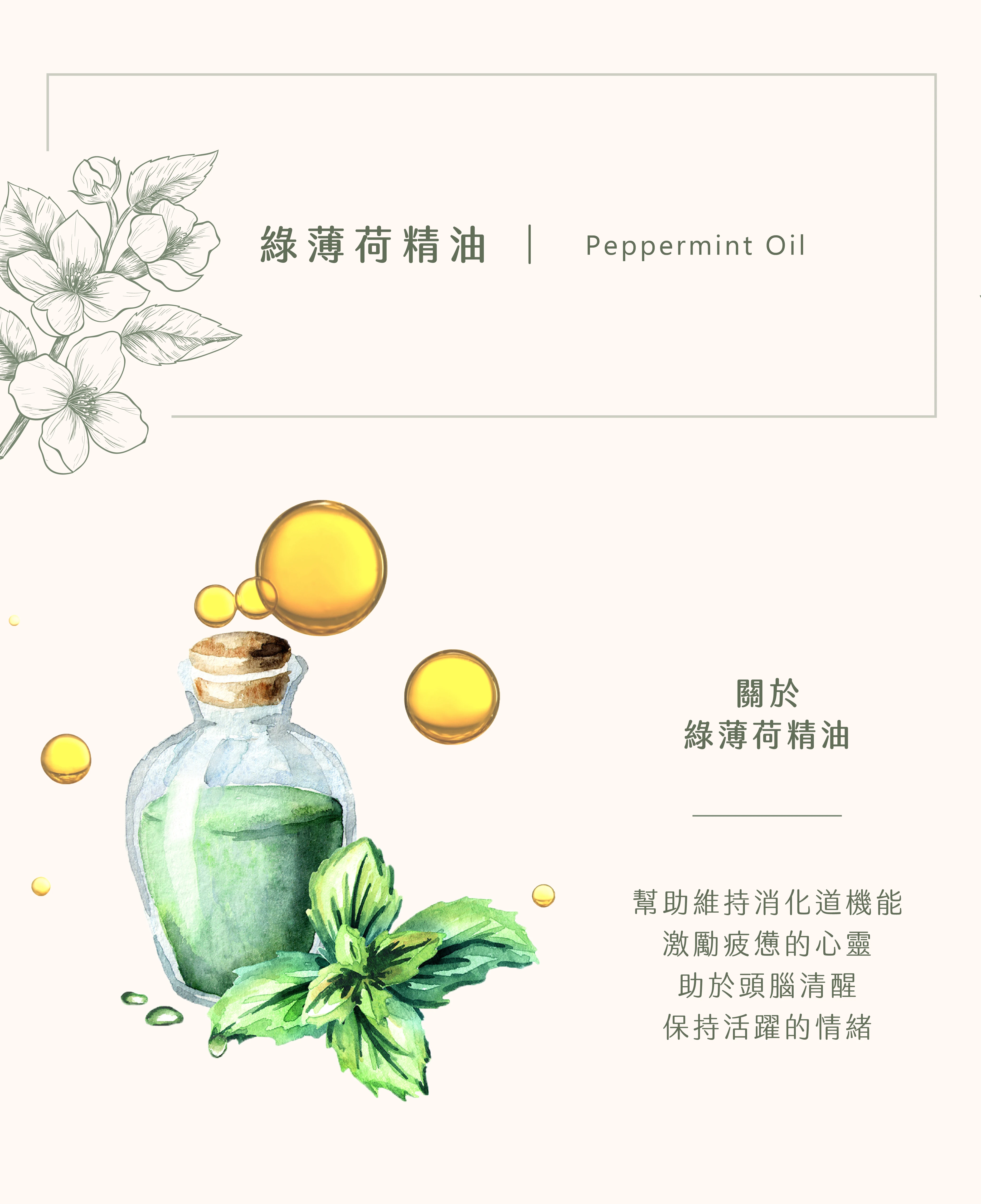綠薄荷精油｜身心渙然一新