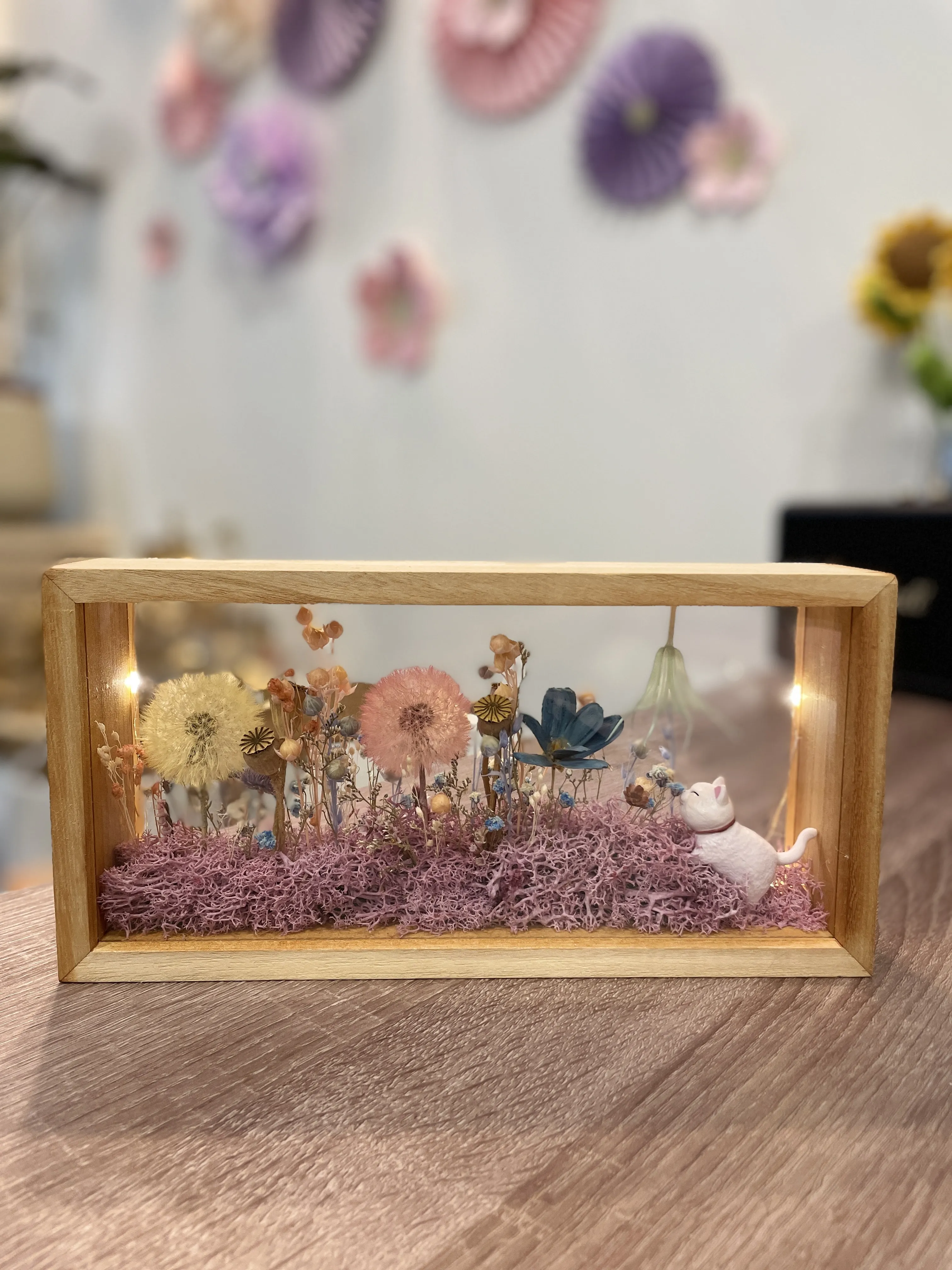 小貓跳球 蒲公英永生花花盒（附燈）  FND2059
