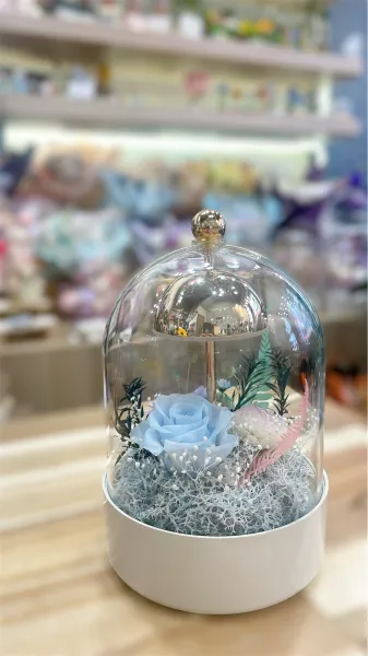 玫瑰永生花花燈 - 白色  FND2069